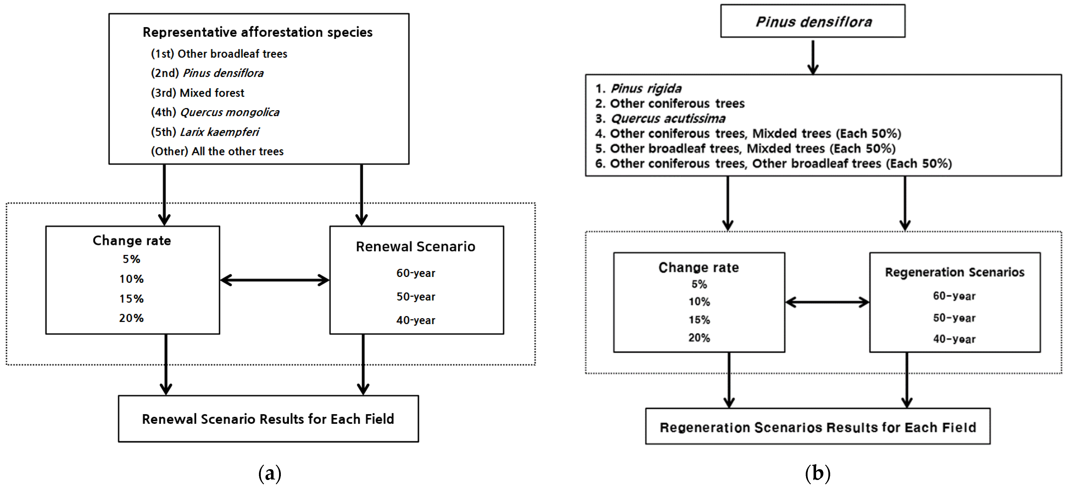 Forests 16 00254 g004