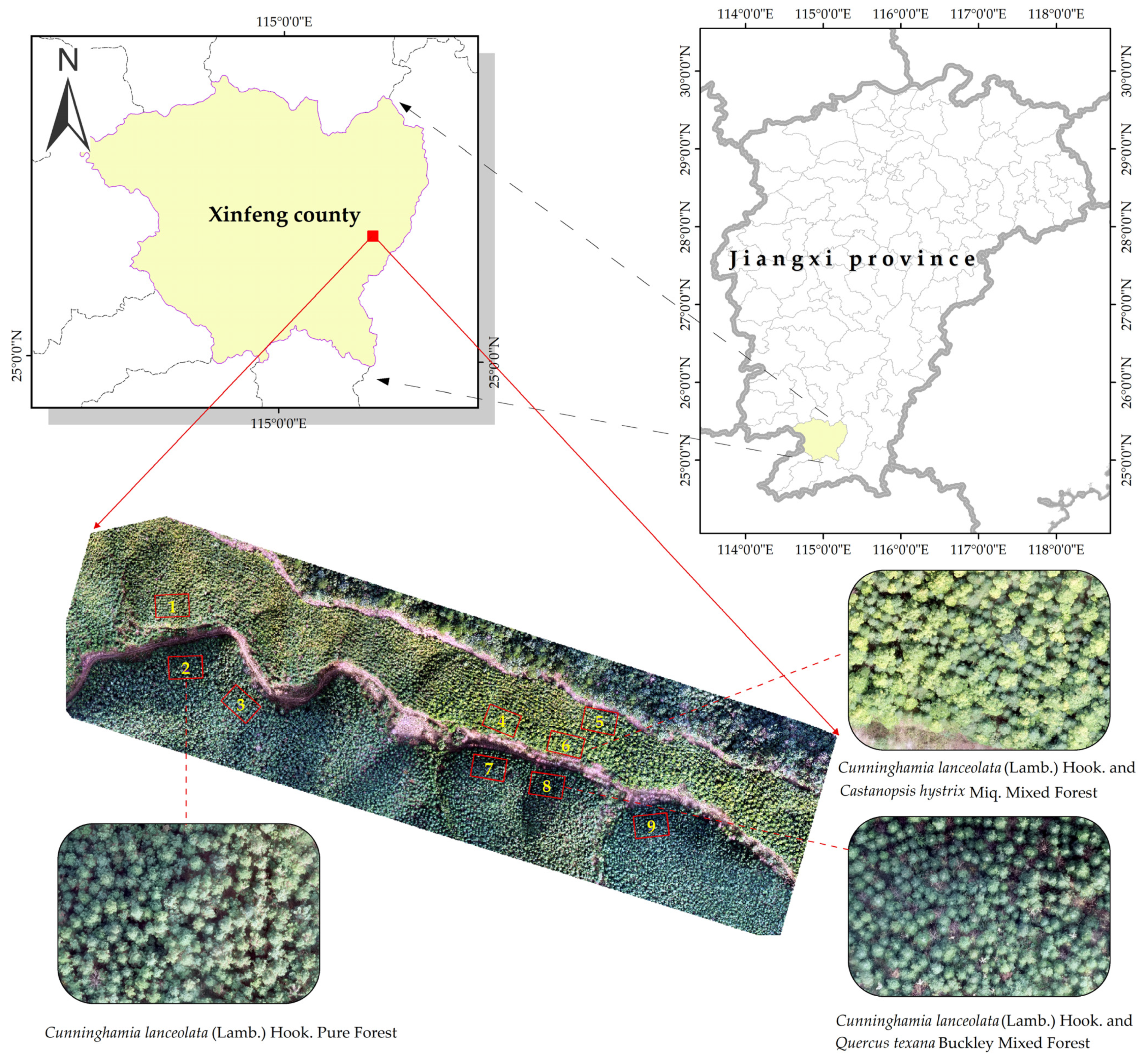 Forests 16 00262 g001