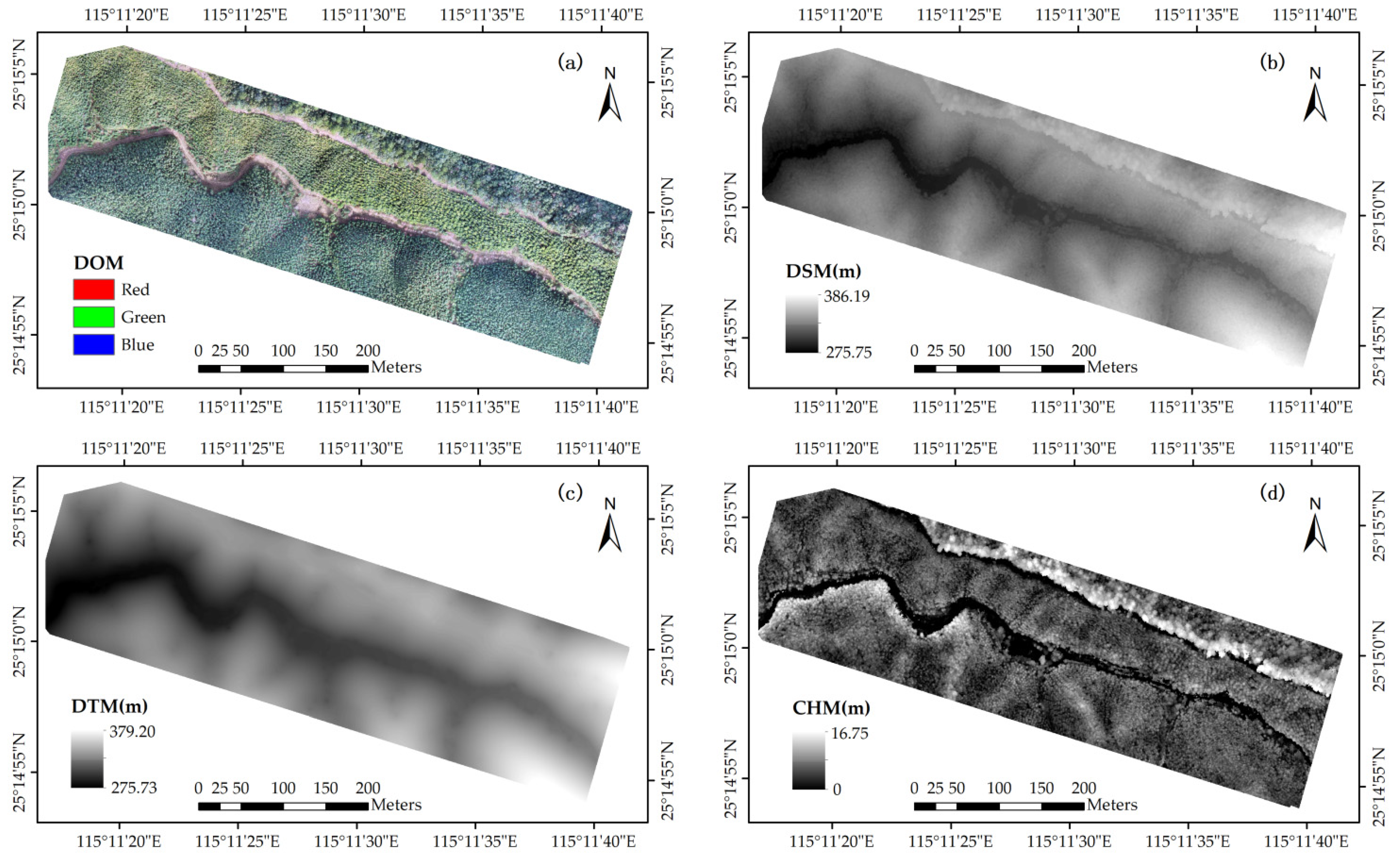 Forests 16 00262 g002