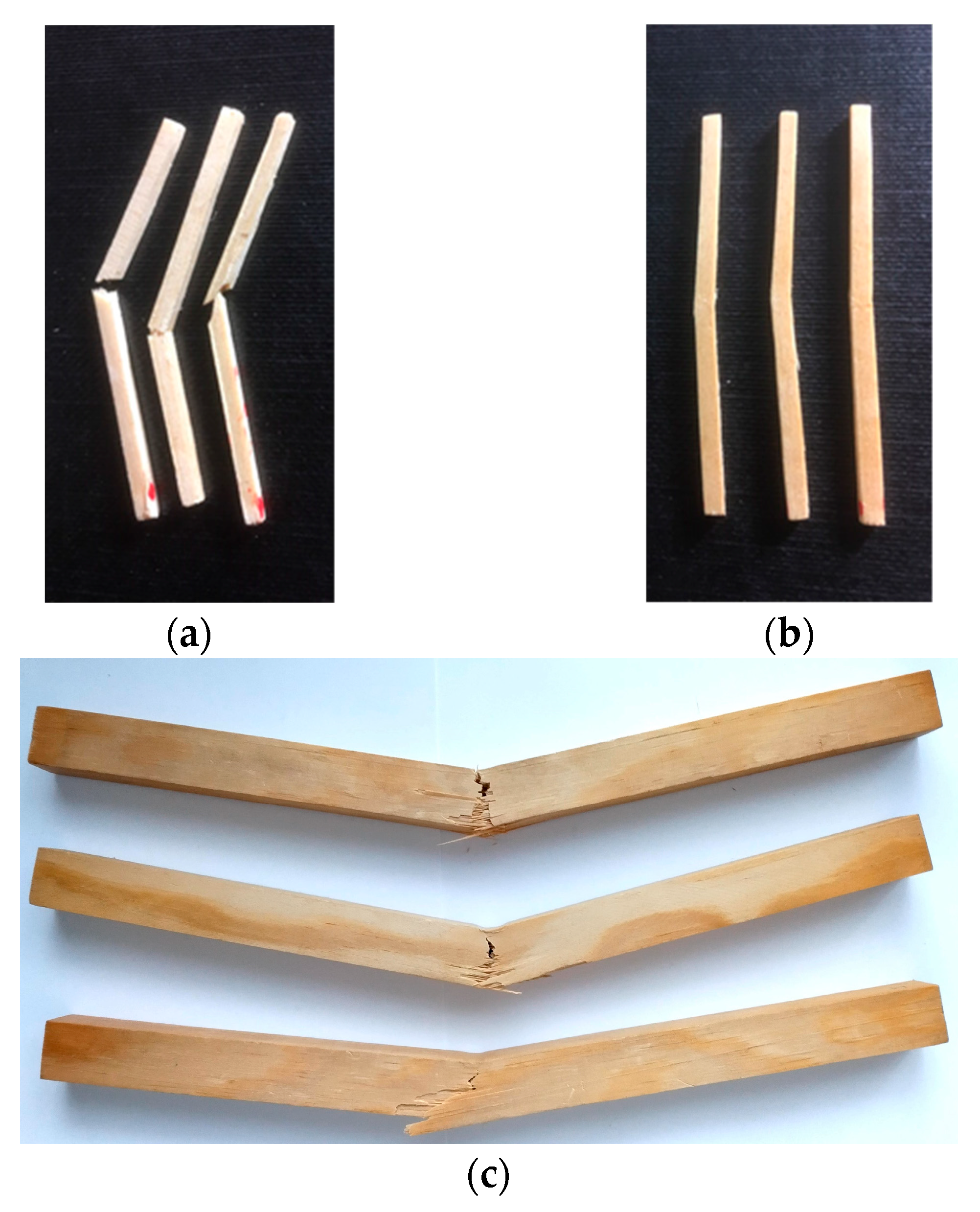 Forests 16 00265 g005