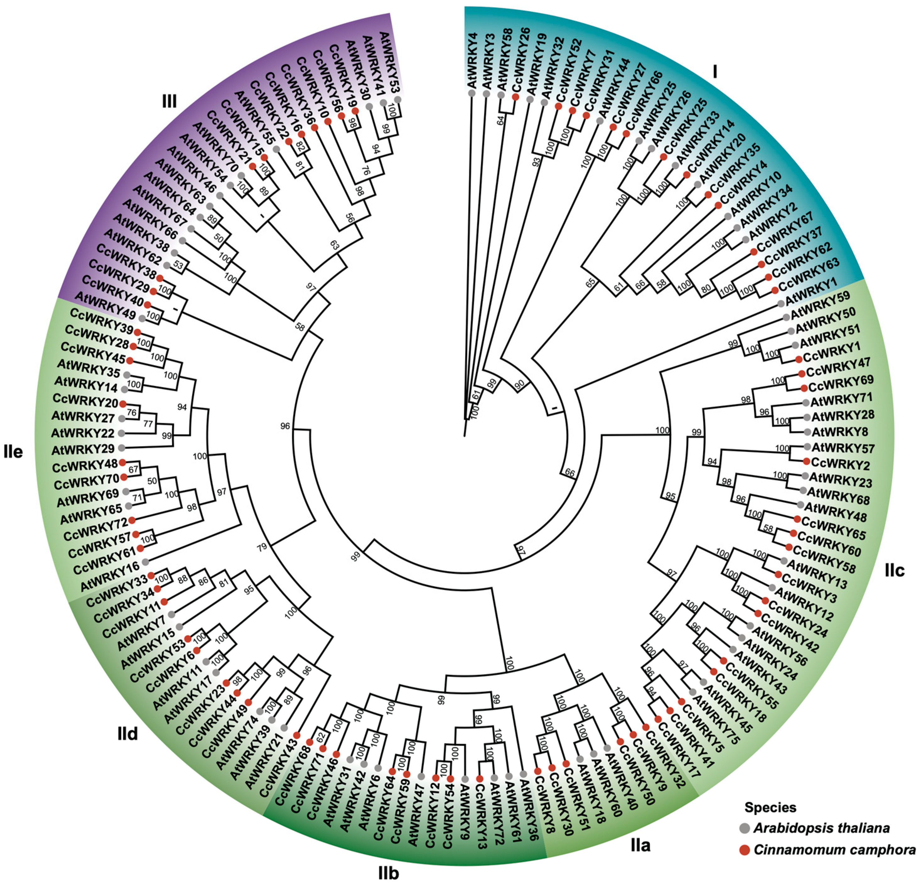 Forests 16 00266 g002