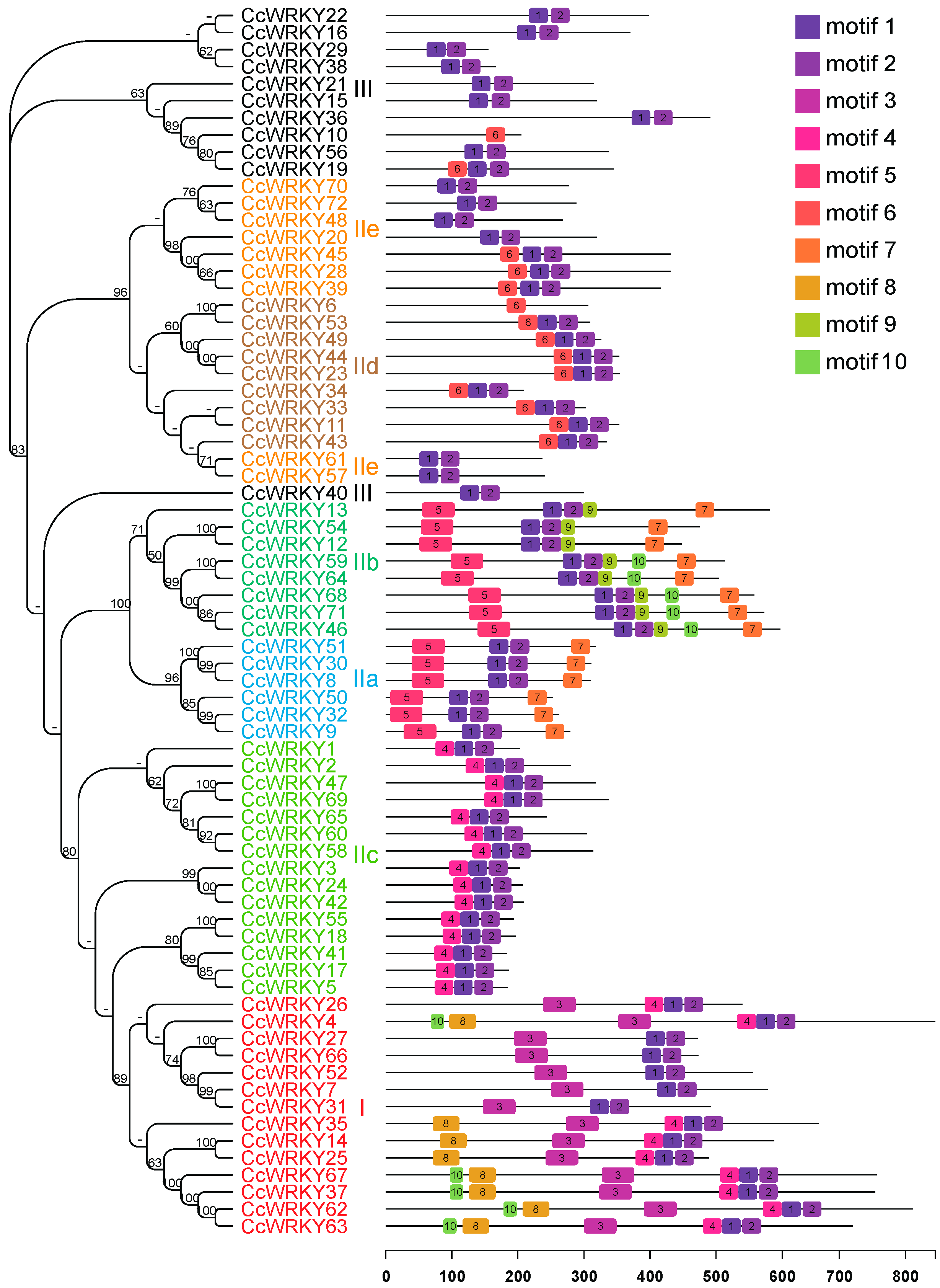 Forests 16 00266 g003