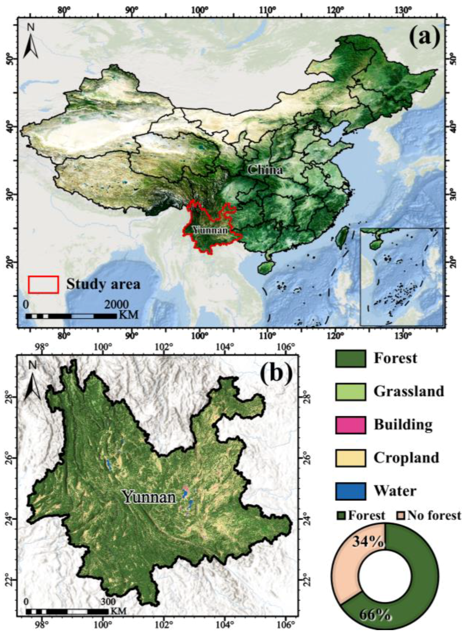 Forests 16 00272 g001