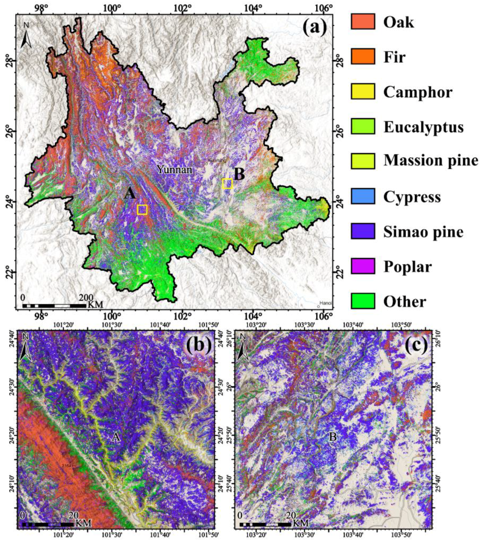 Forests 16 00272 g004