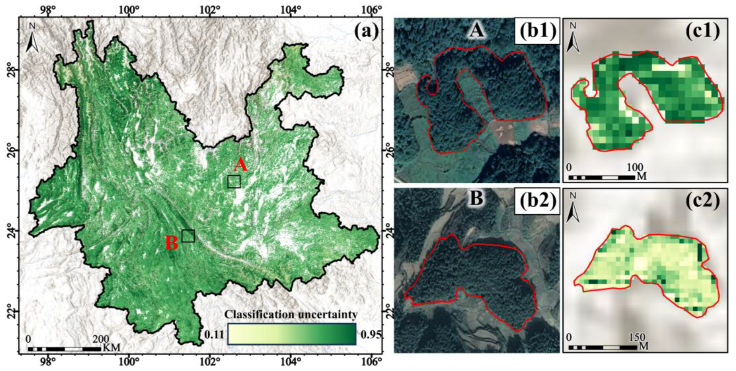 Forests 16 00272 g008