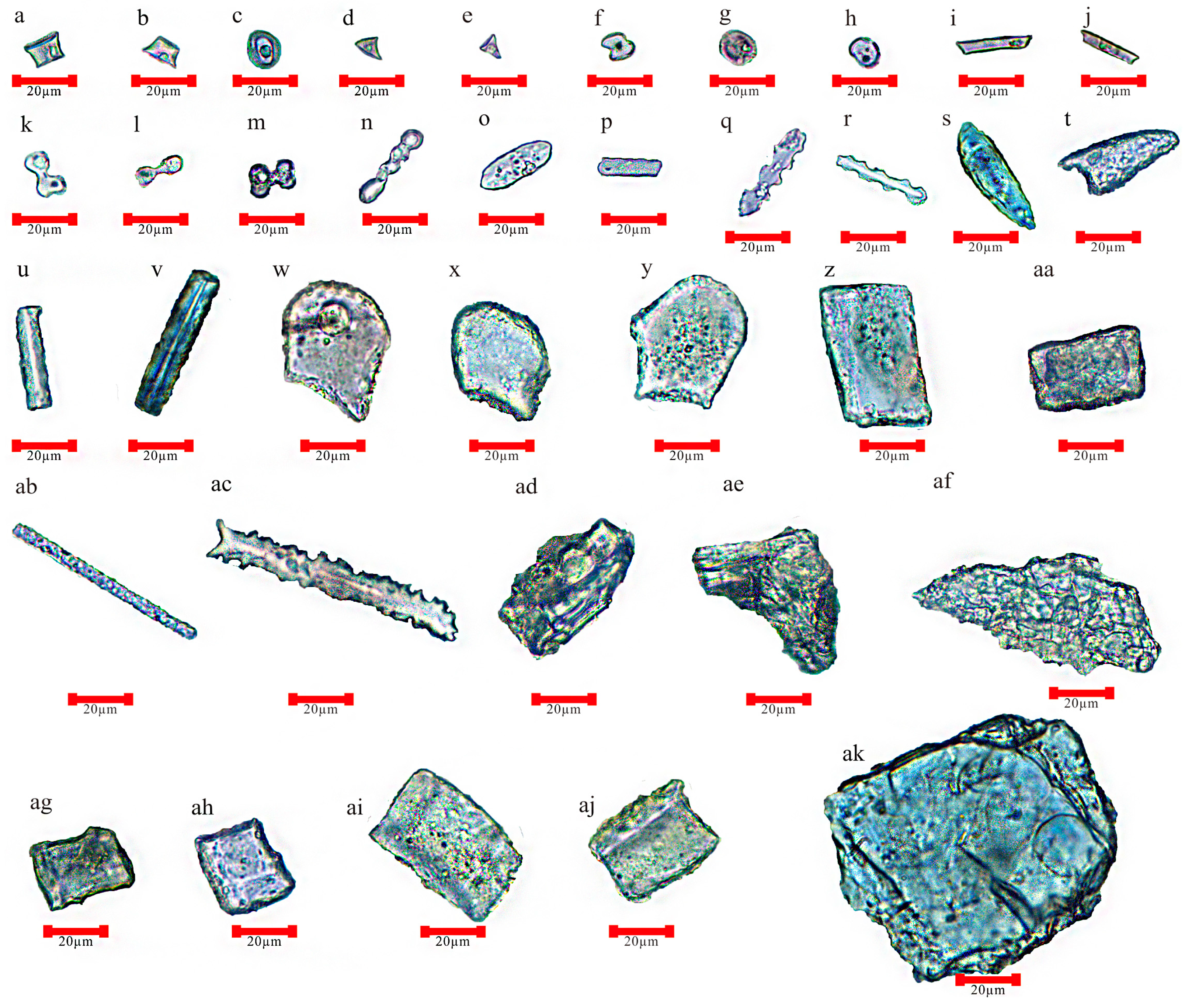 Forests 16 00275 g003 Forests 16 00275 g003