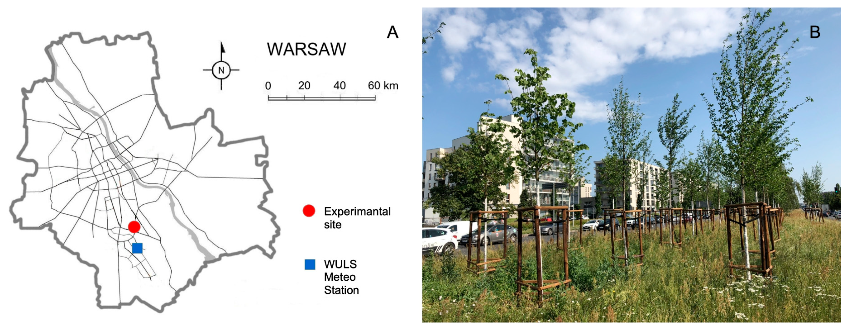 Forests 16 00277 g001