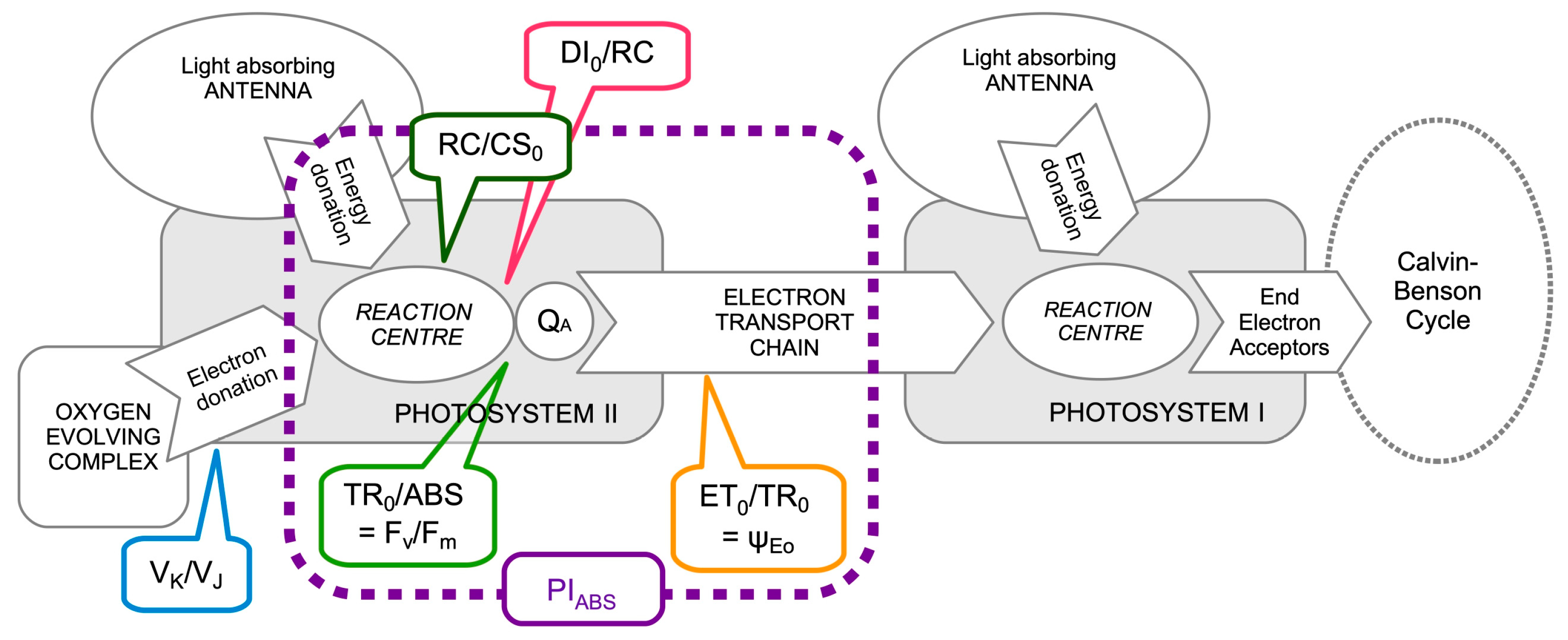 Forests 16 00277 g002