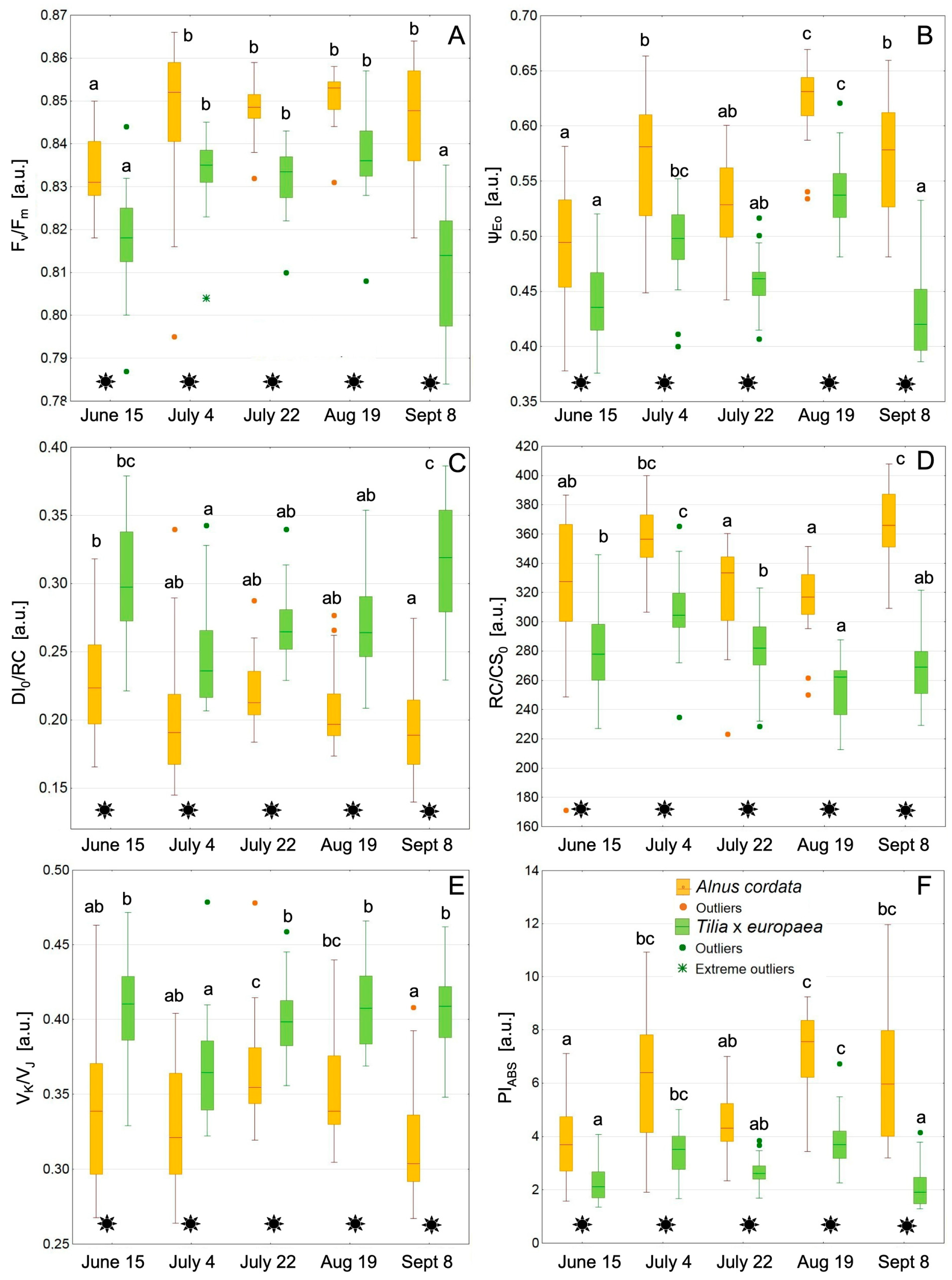 Forests 16 00277 g004