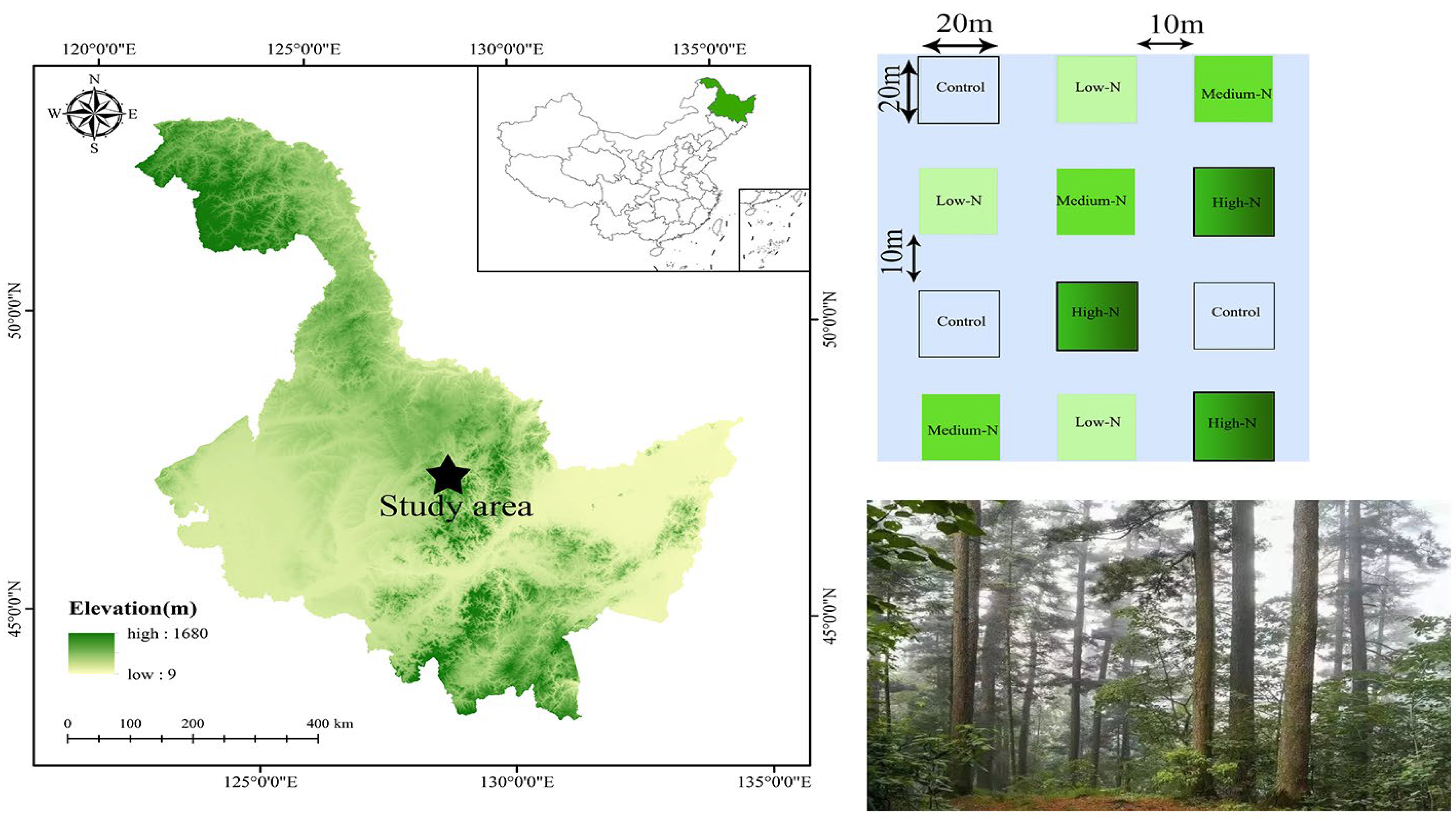 Forests 16 00282 g001