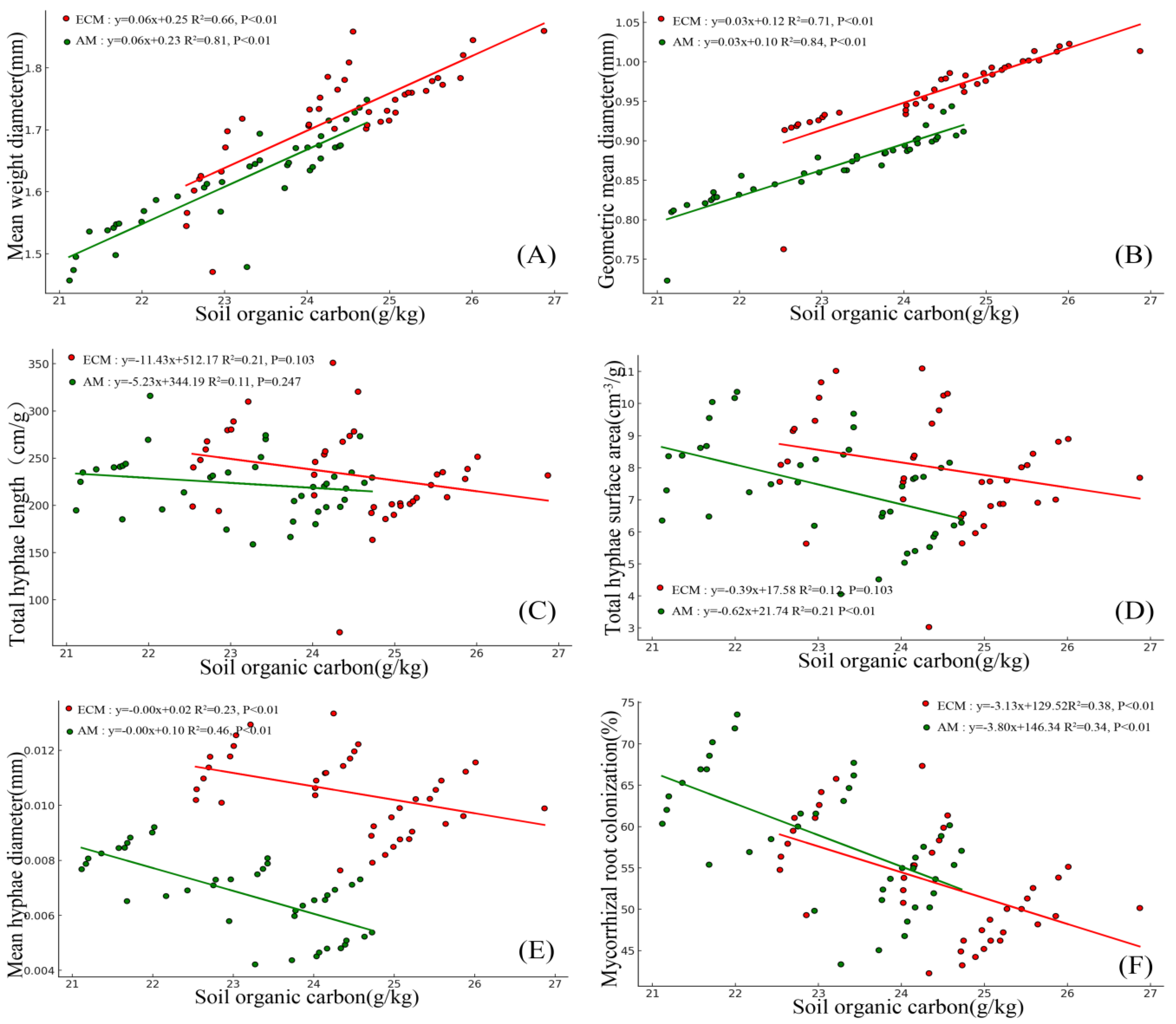 Forests 16 00282 g004