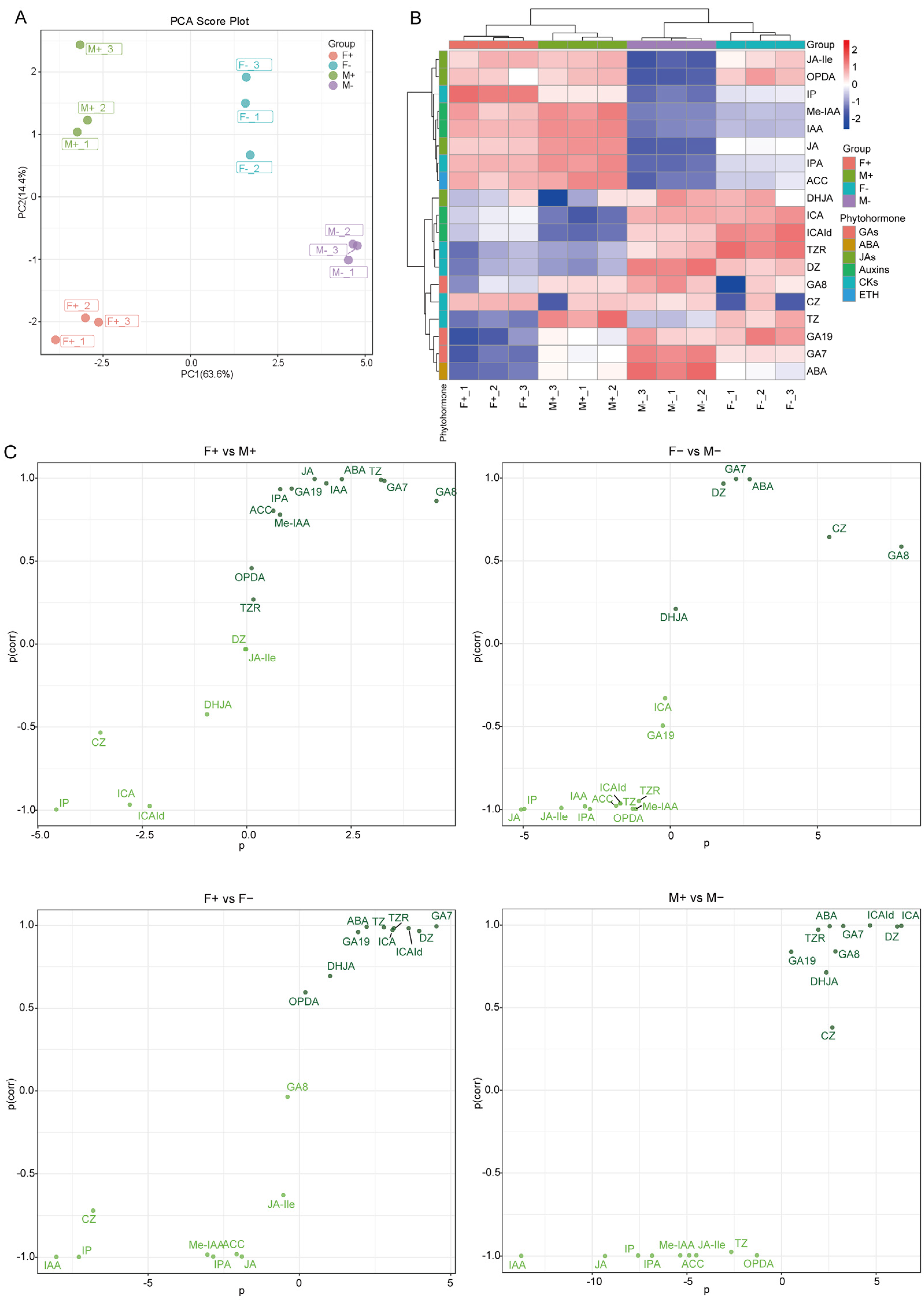 Forests 16 00286 g007