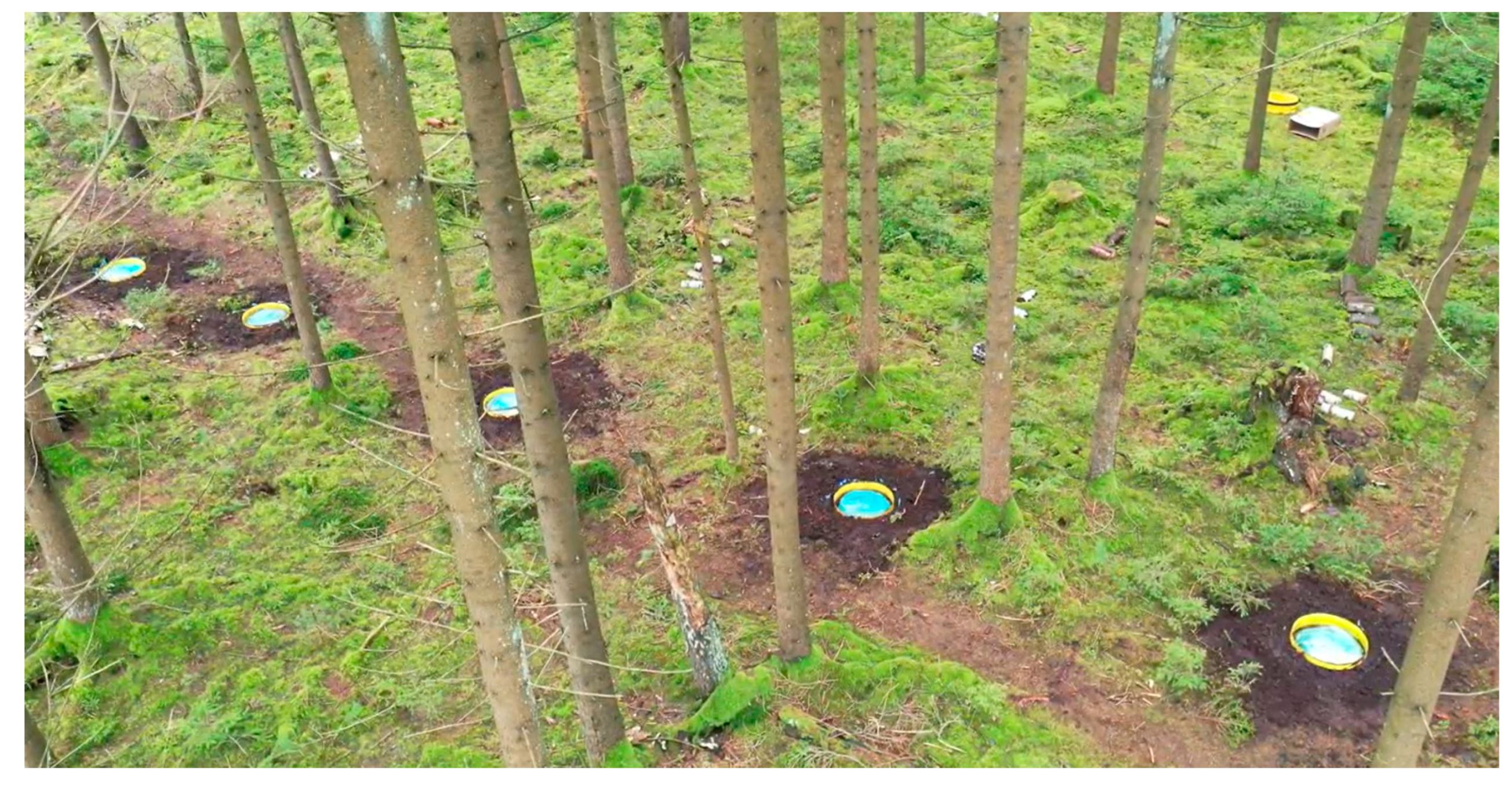 Forests 16 00293 g001