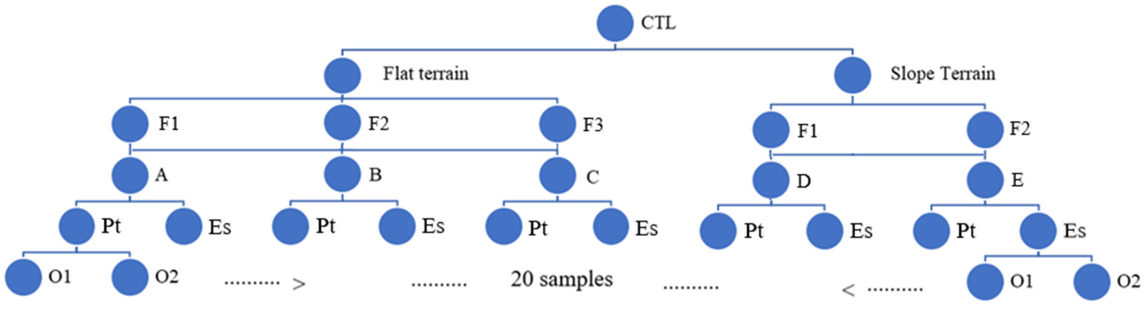 Forests 16 00294 g002