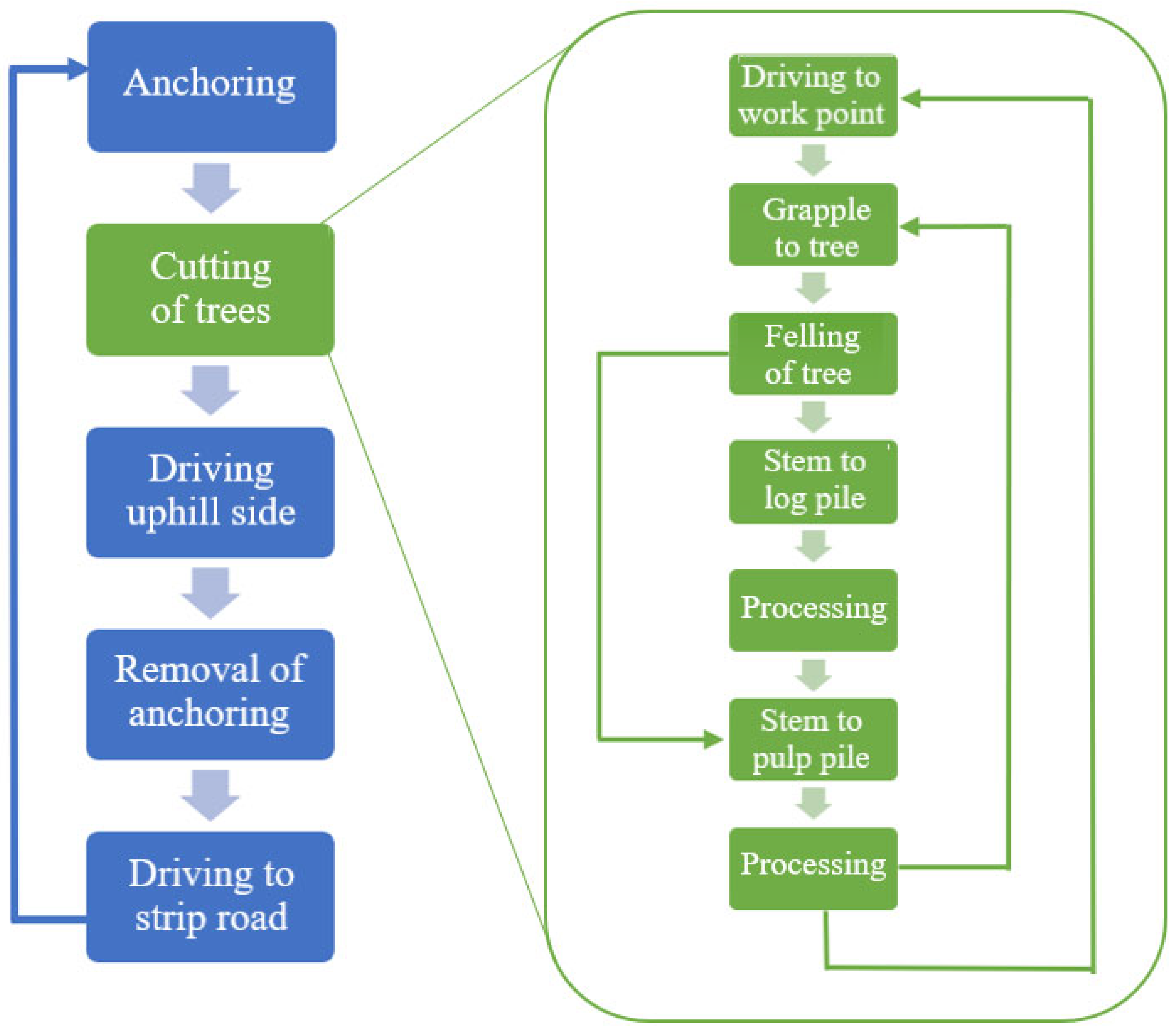 Forests 16 00294 g003