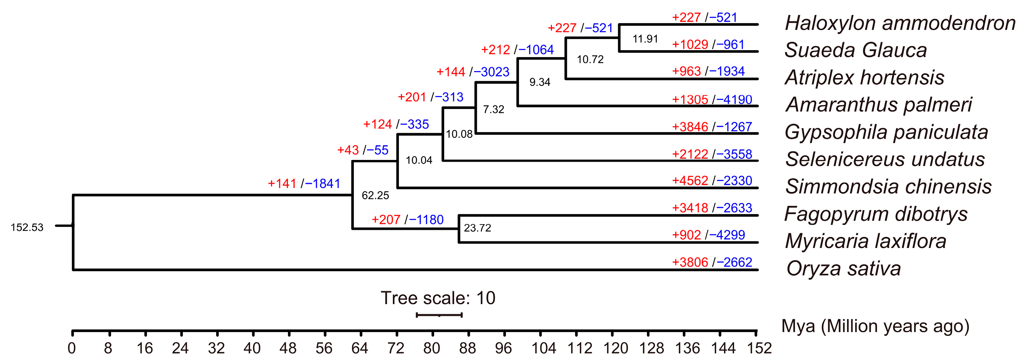 Forests 16 00295 g003
