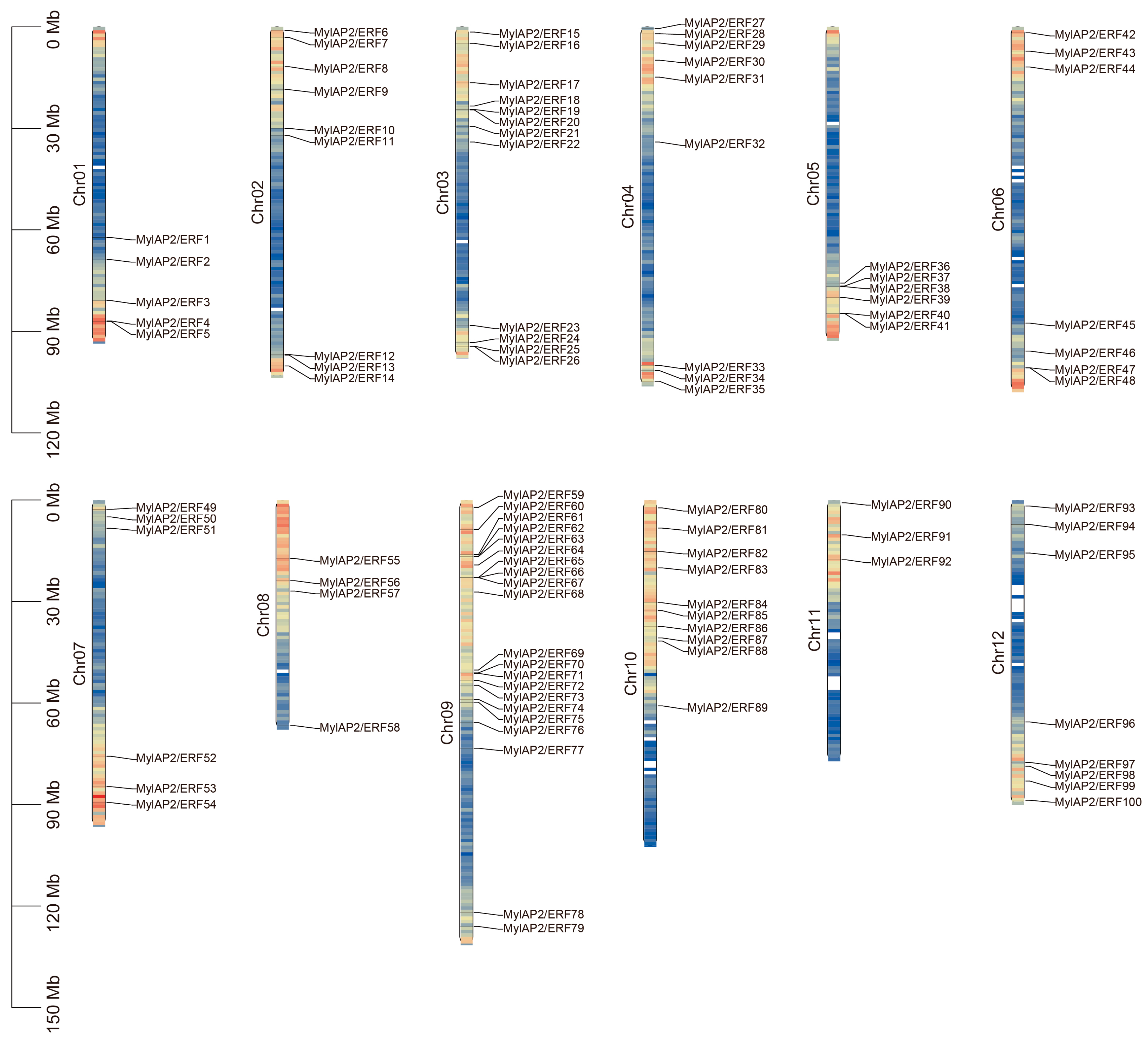 Forests 16 00295 g004