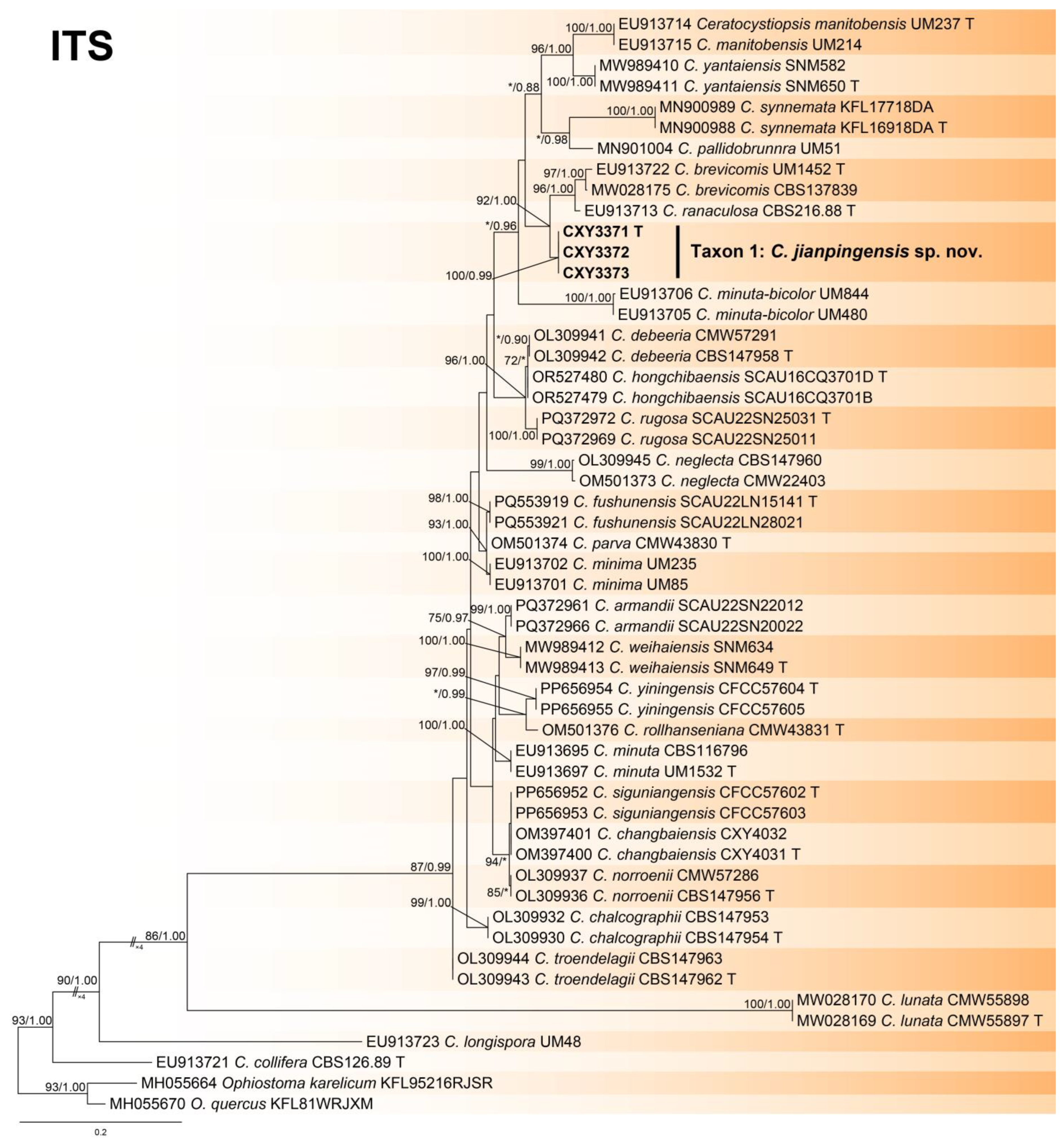Forests 16 00299 g002