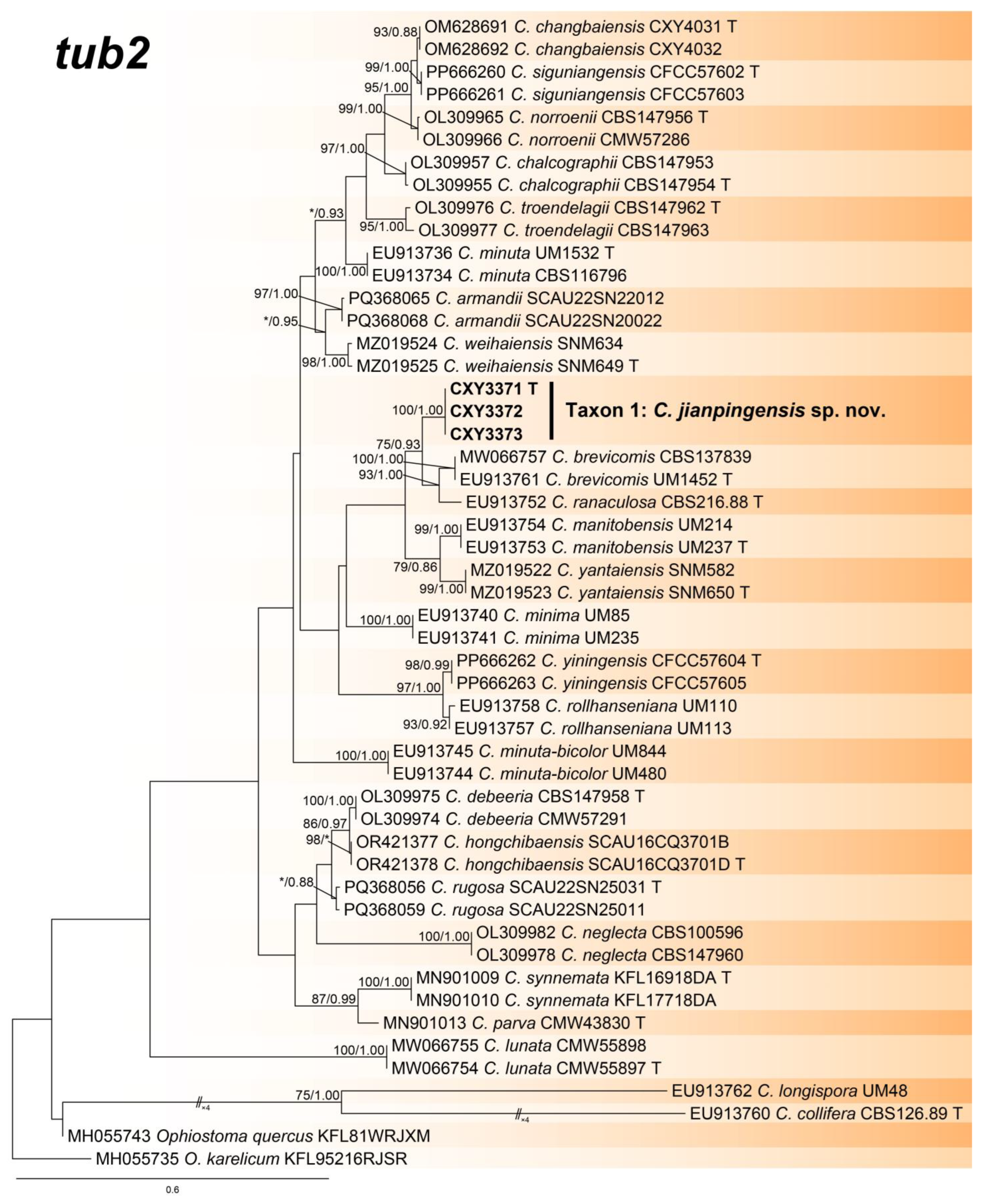 Forests 16 00299 g003