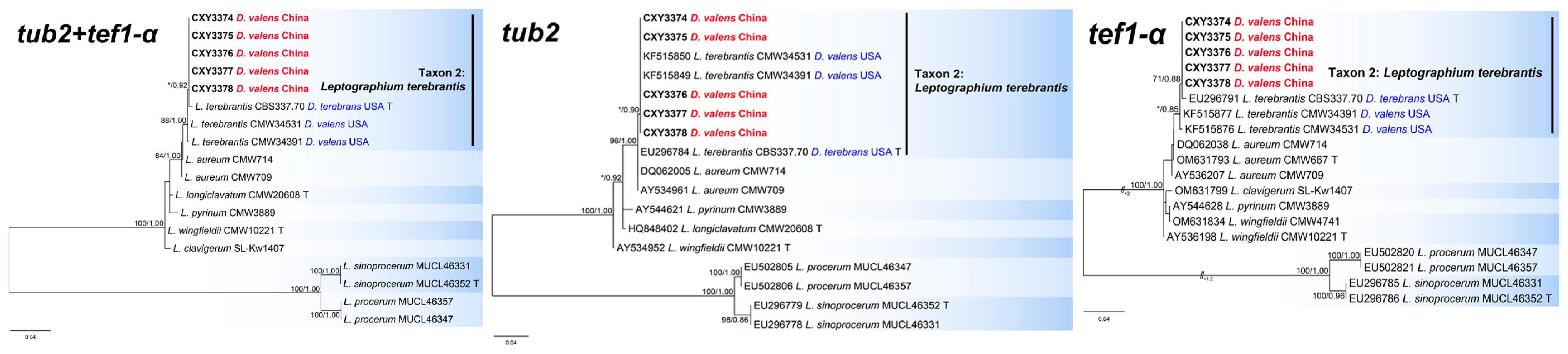 Forests 16 00299 g004