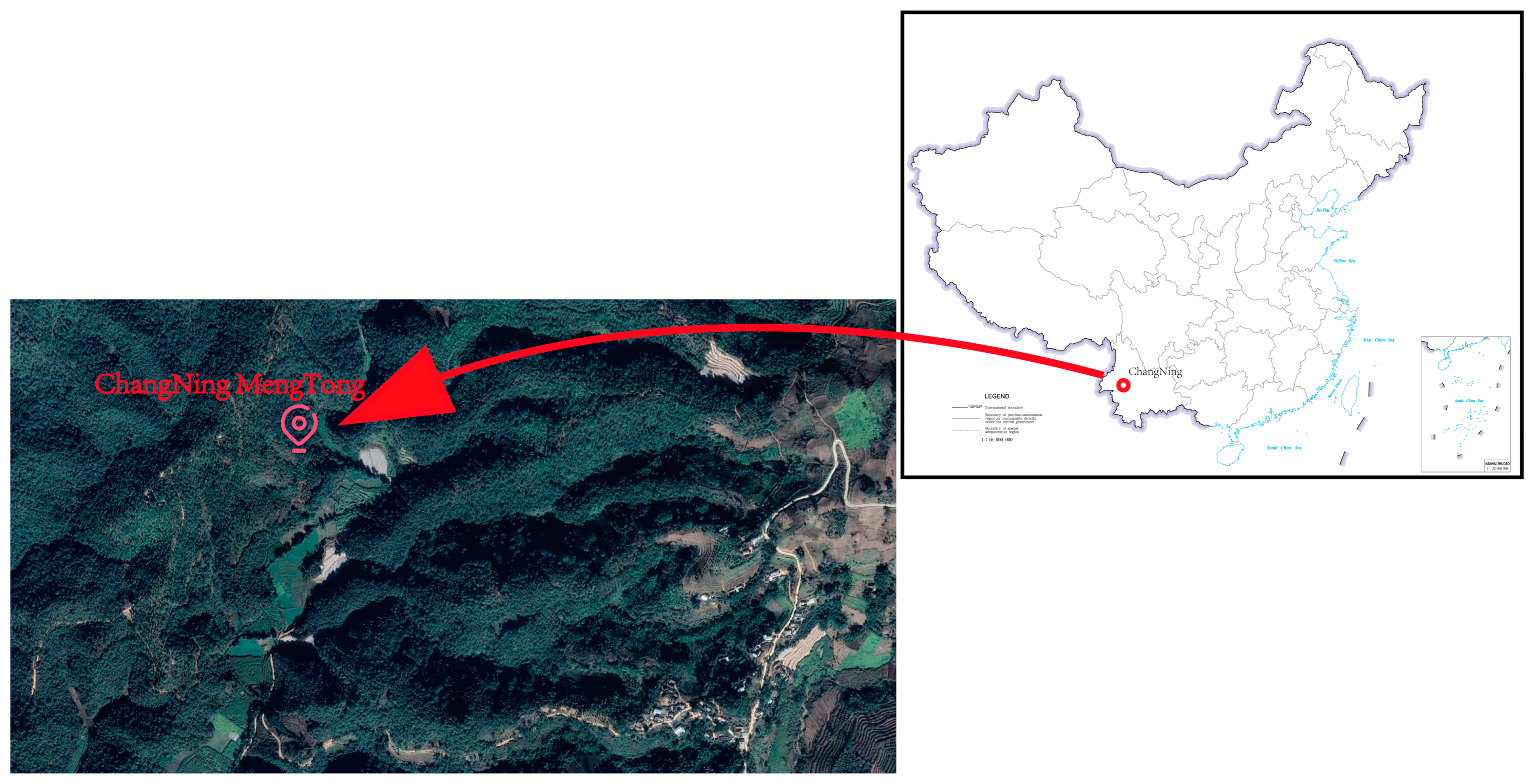 Forests 16 00301 g001