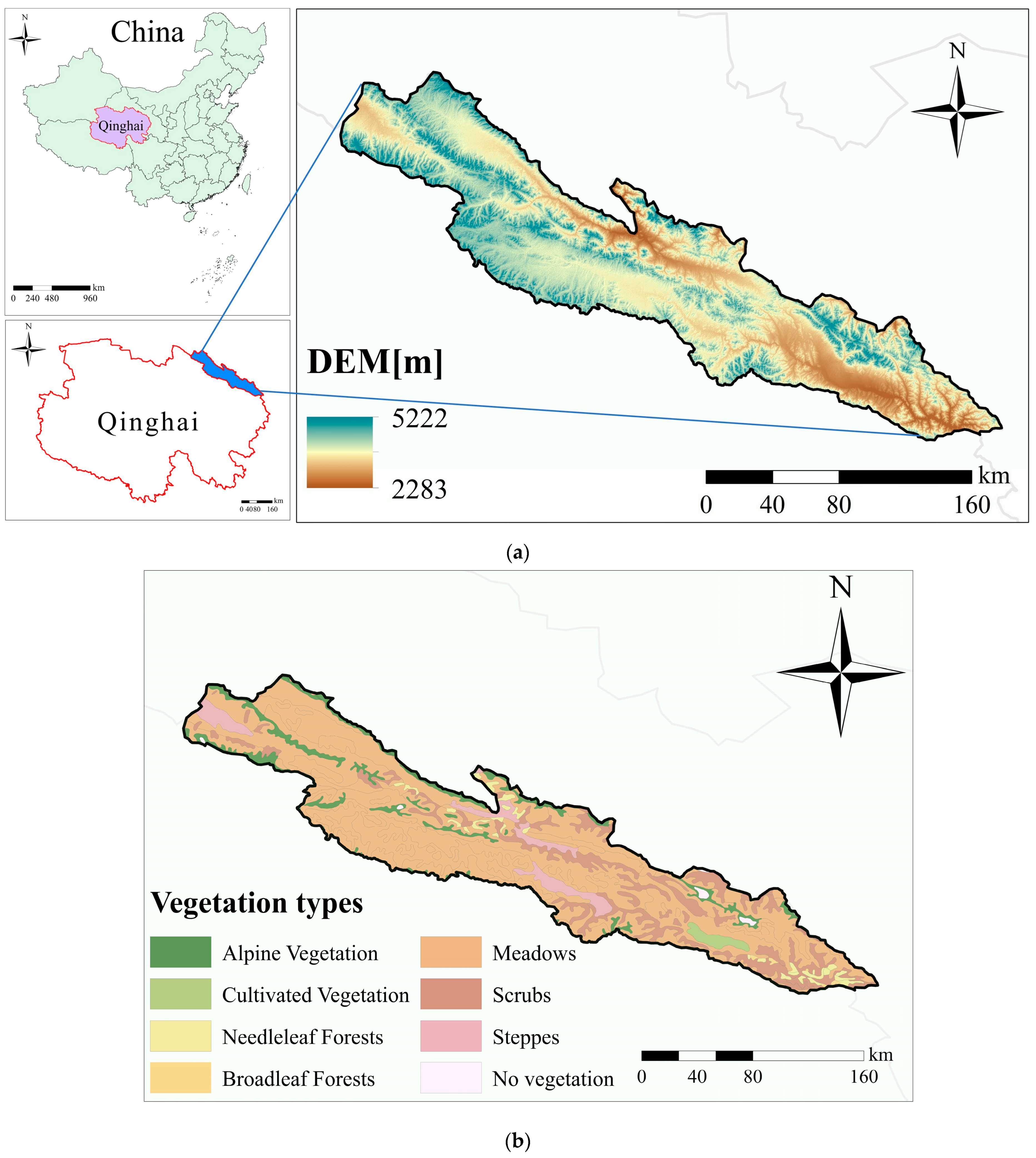 Forests 16 00307 g001