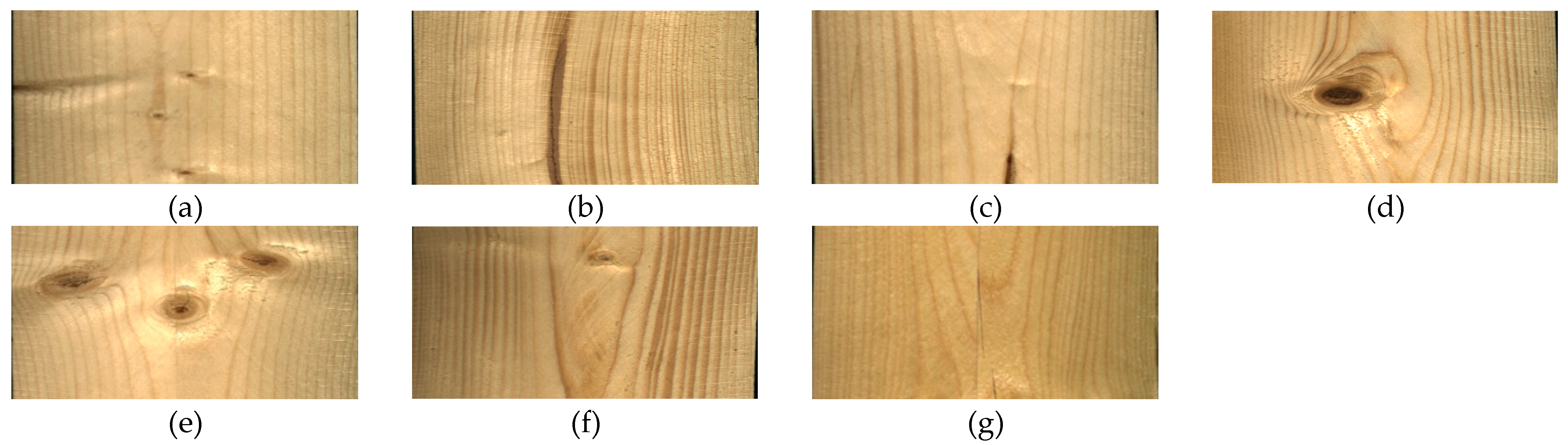 Forests 16 00308 g001 Forests 16 00308 g001