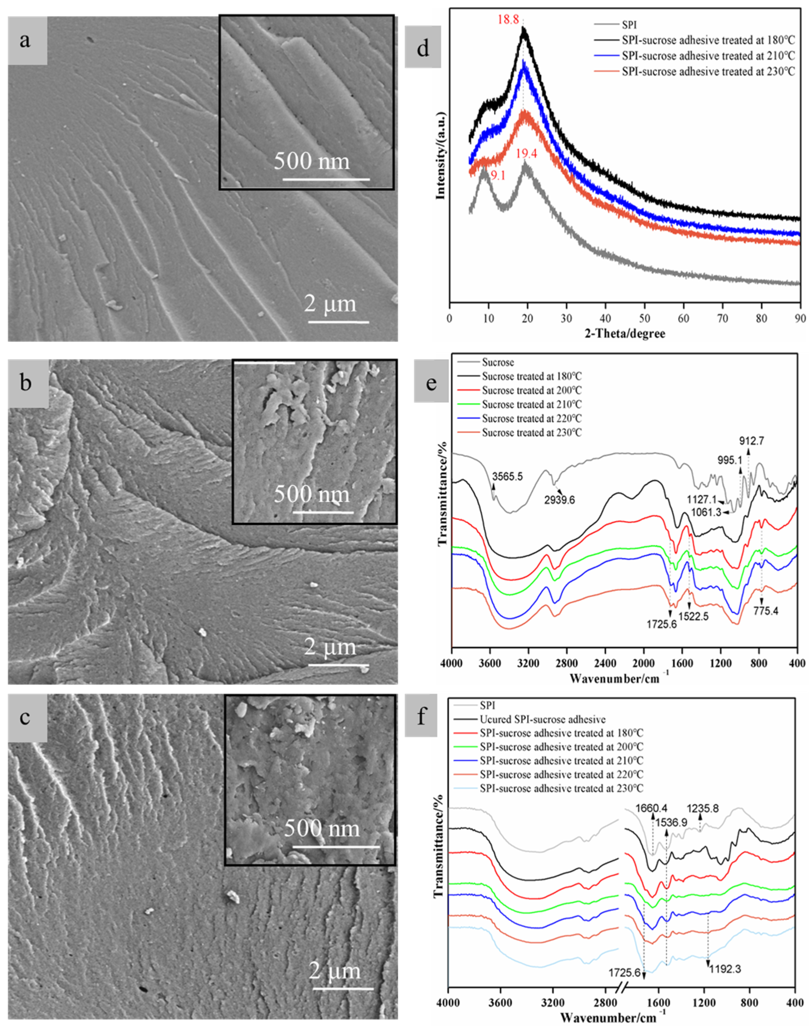 Forests 16 00318 g002