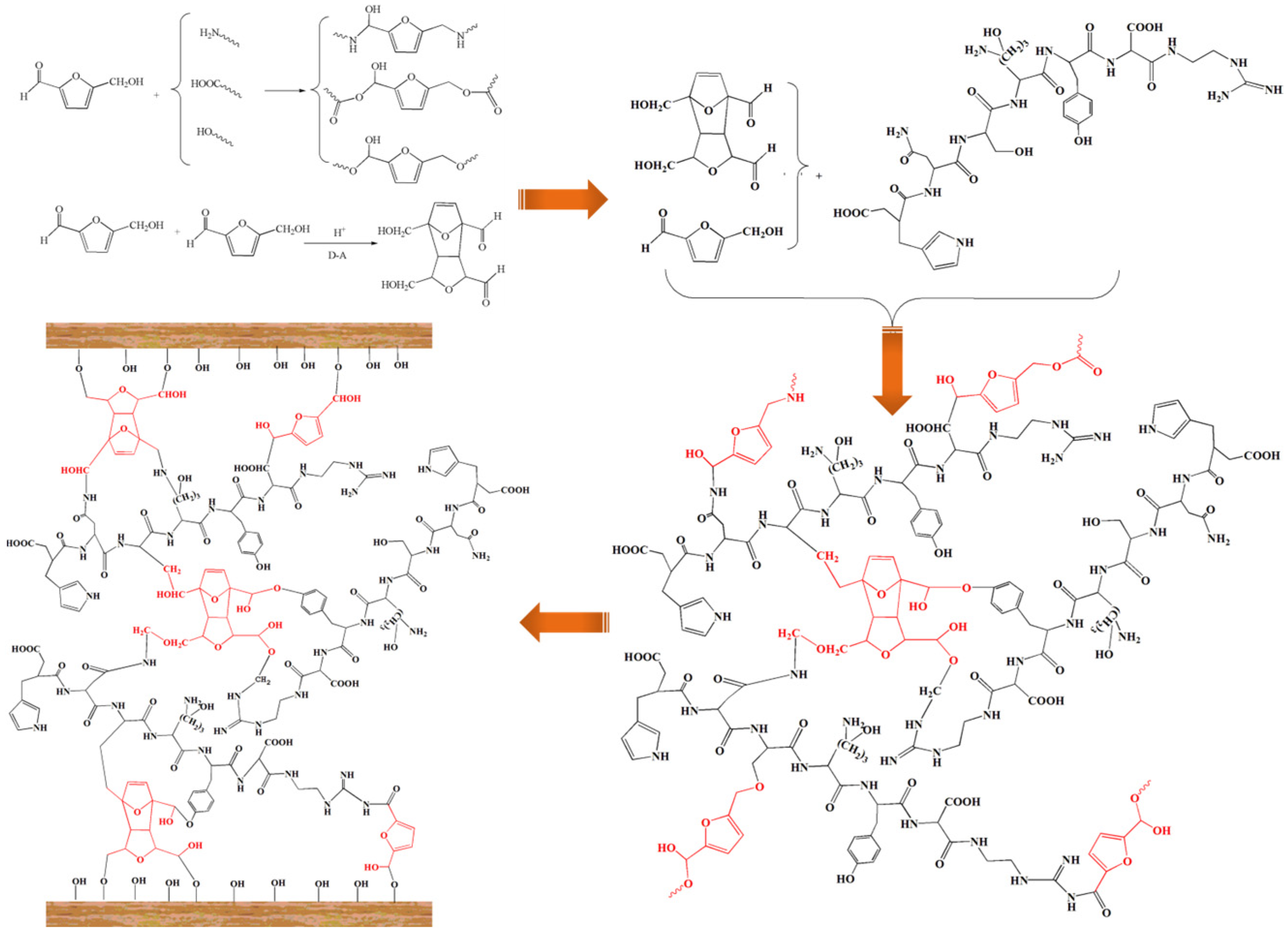 Forests 16 00318 sch002