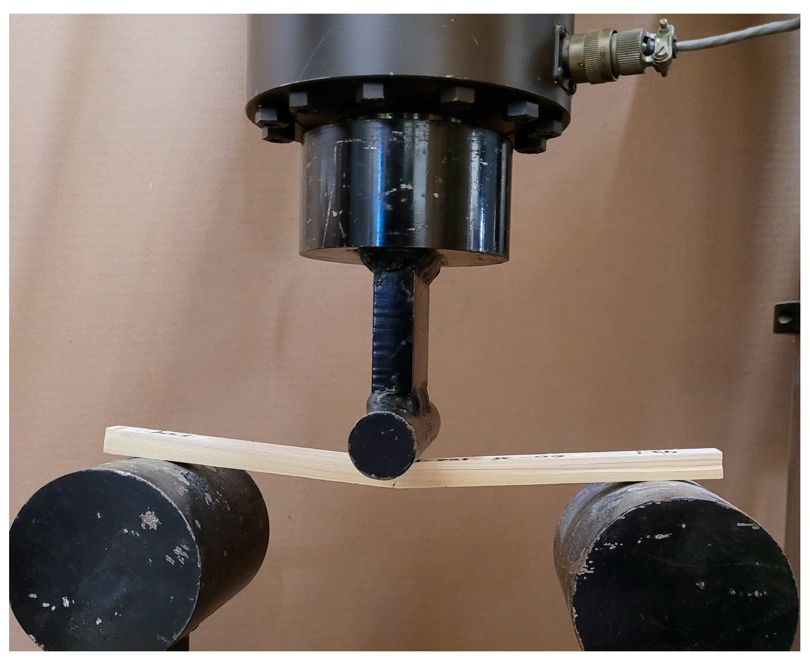 Forests 16 00323 g003