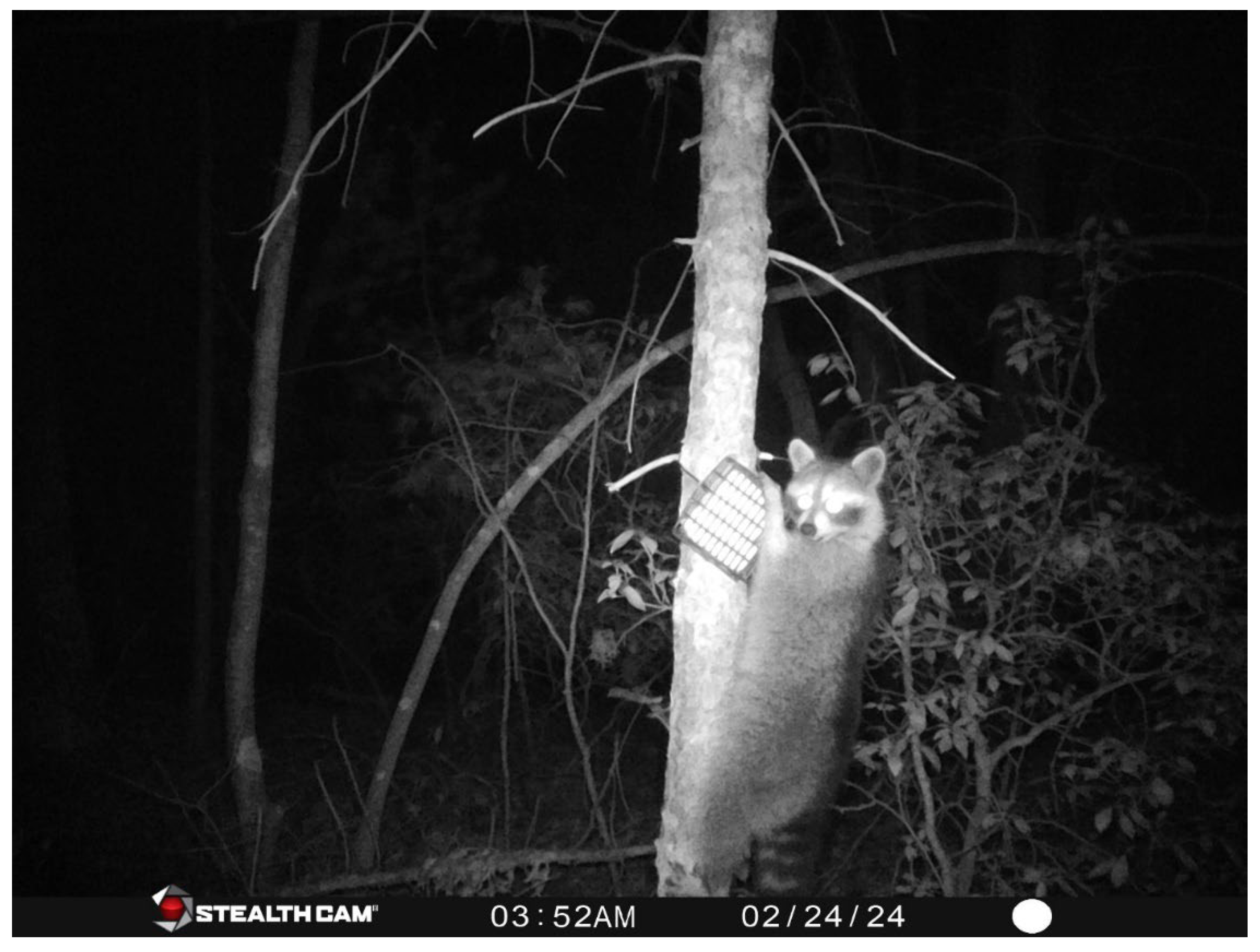 Forests 16 00324 g002