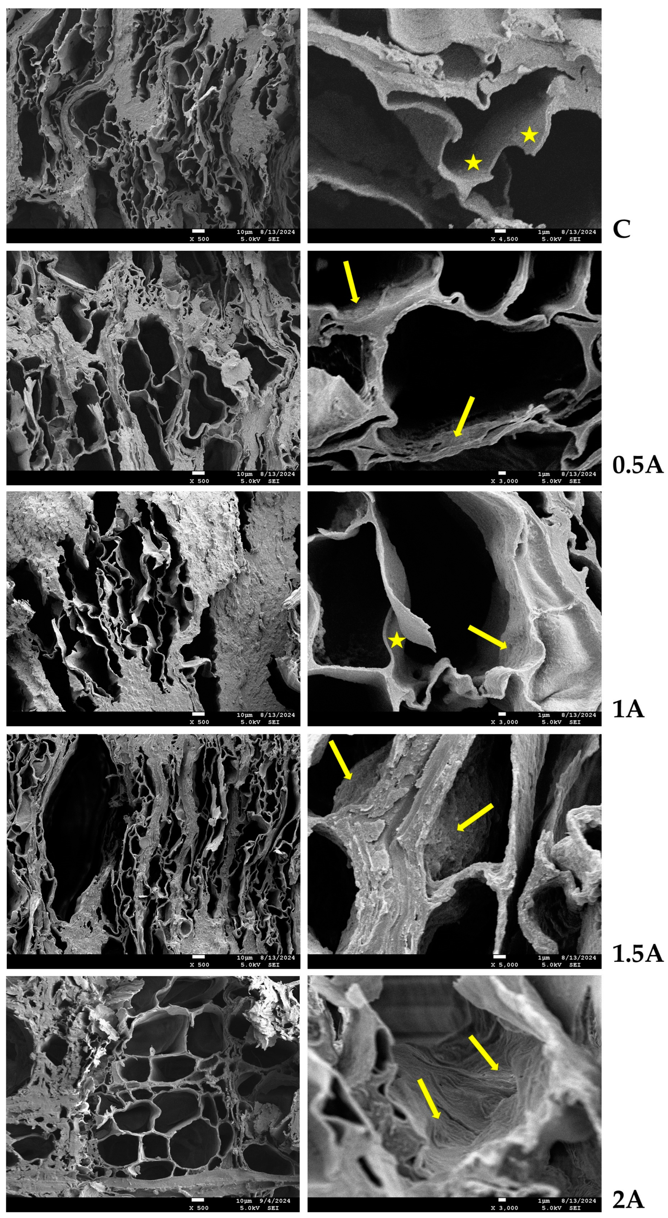 Forests 16 00325 g007