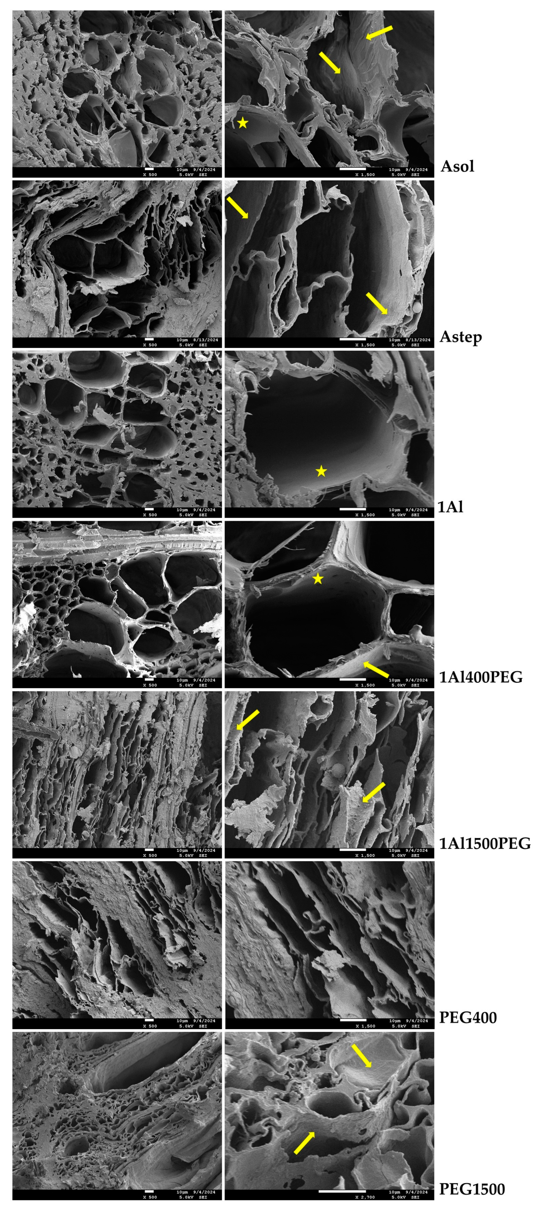 Forests 16 00325 g008