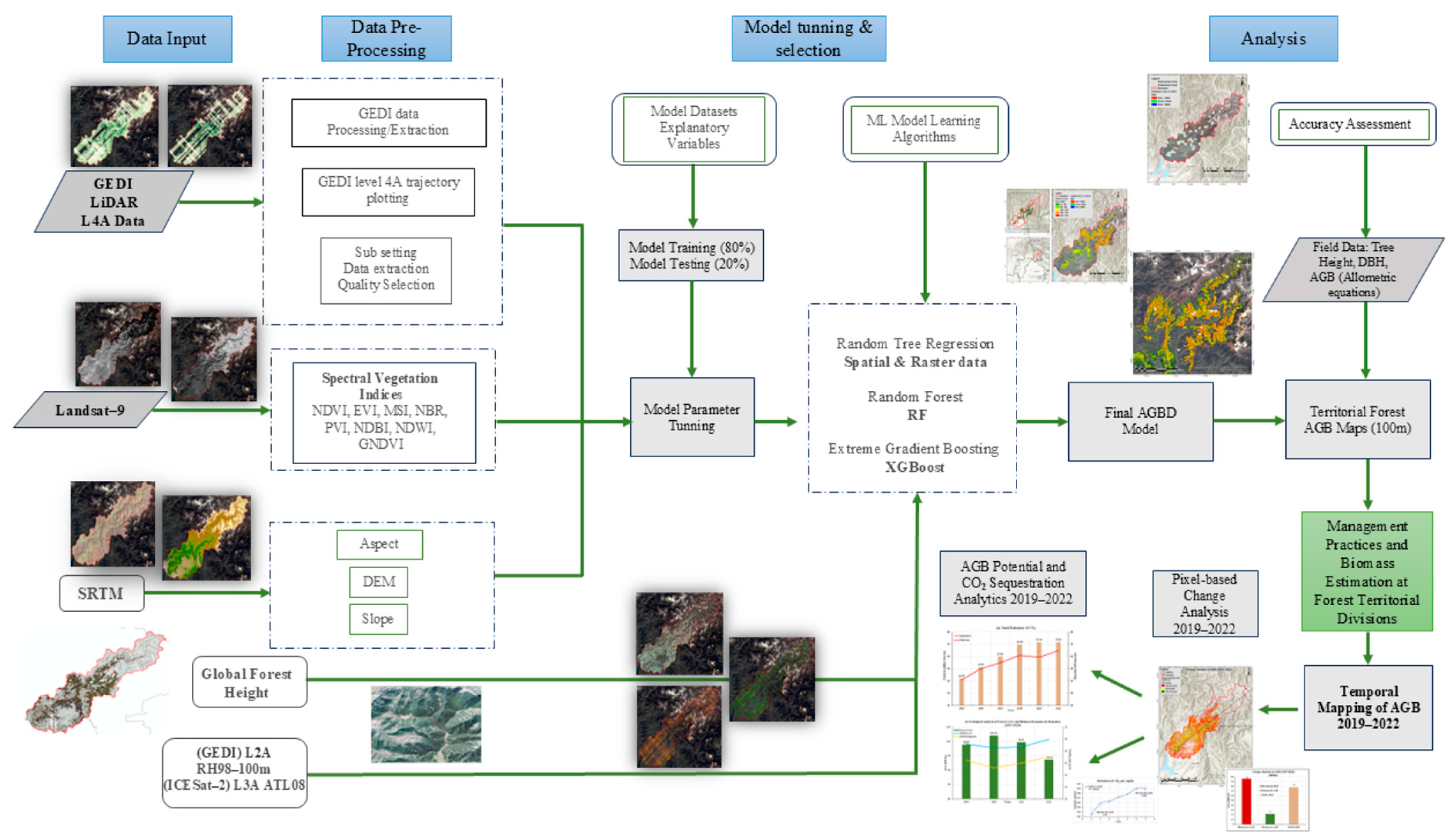 Forests 16 00330 g006