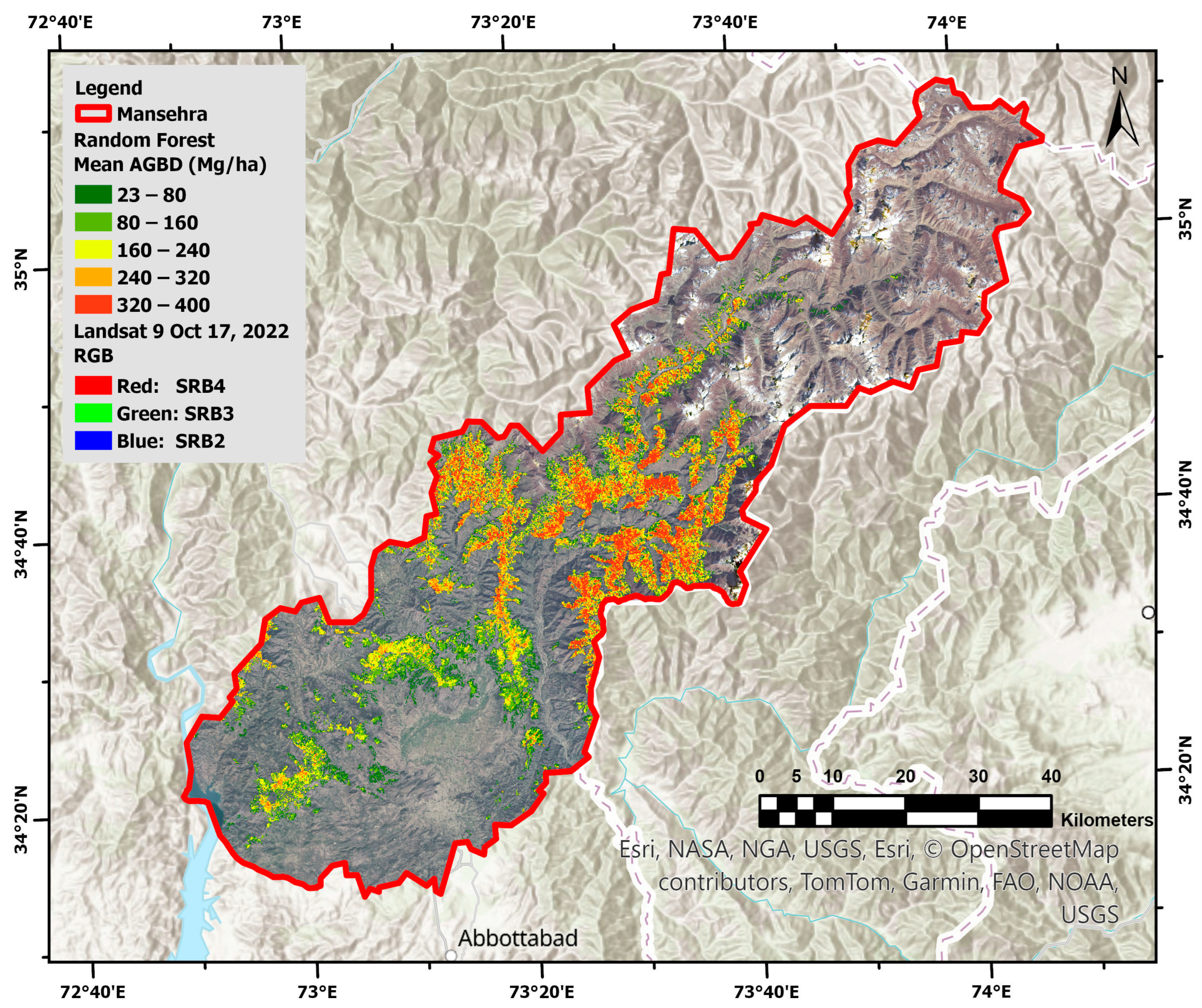 Forests 16 00330 g013