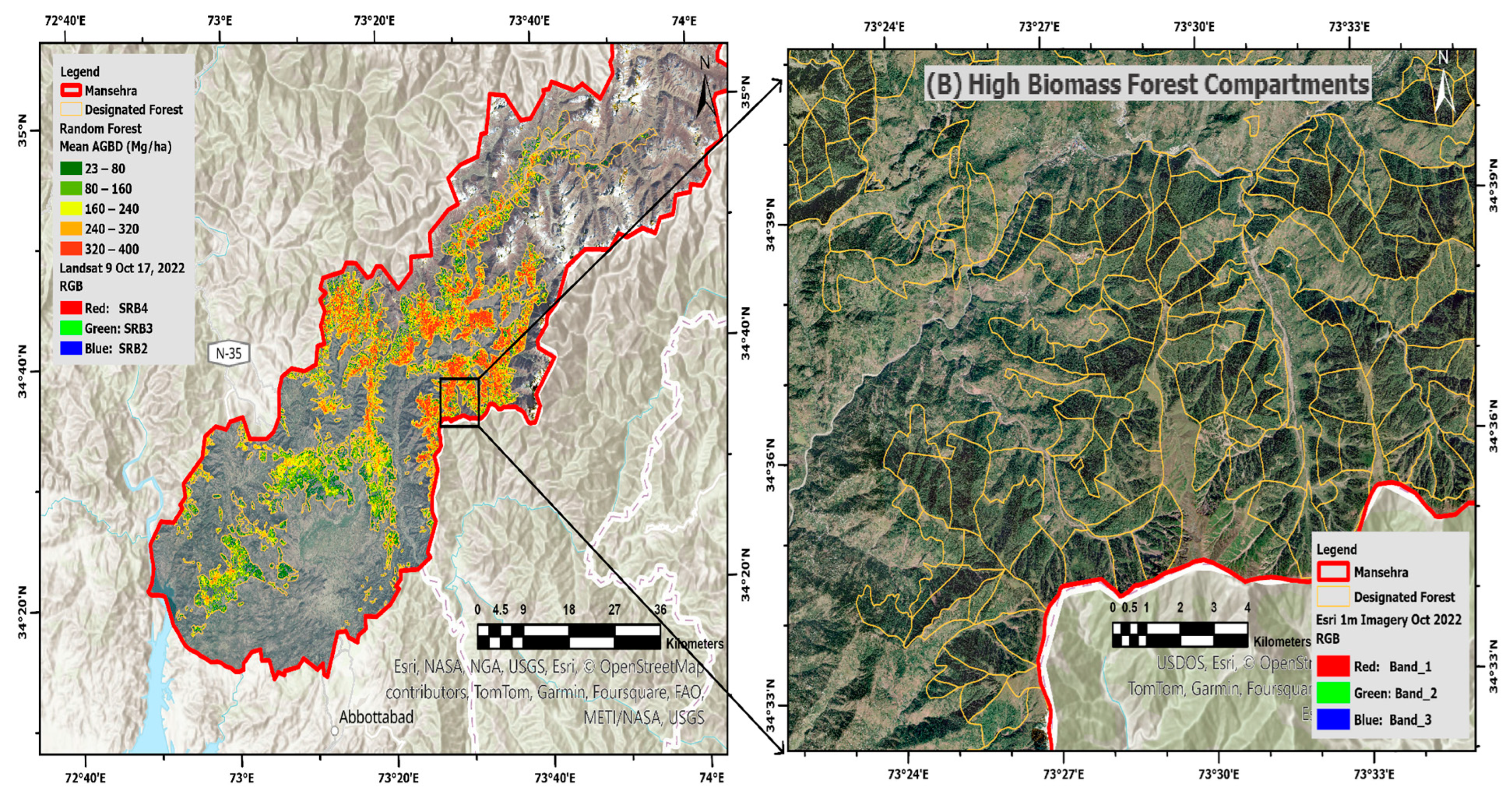 Forests 16 00330 g016