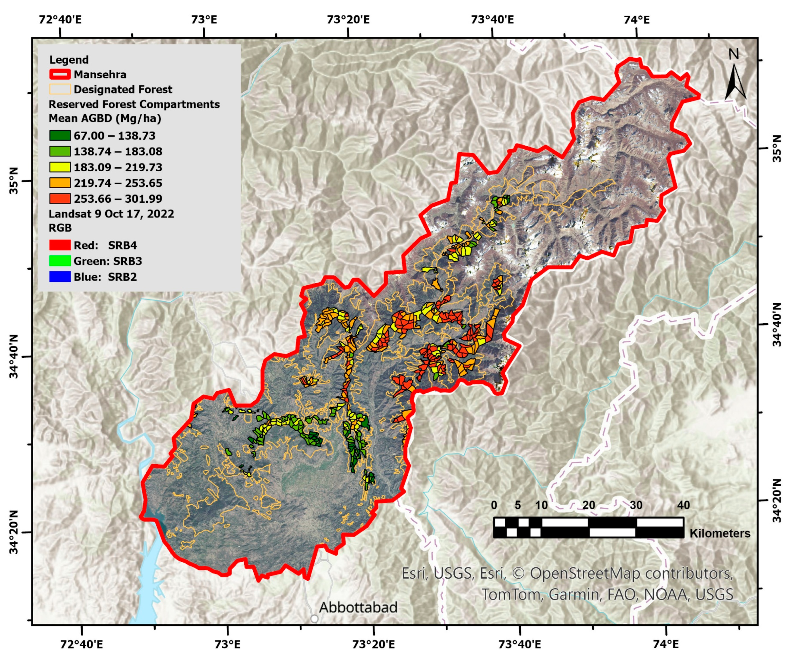 Forests 16 00330 g019
