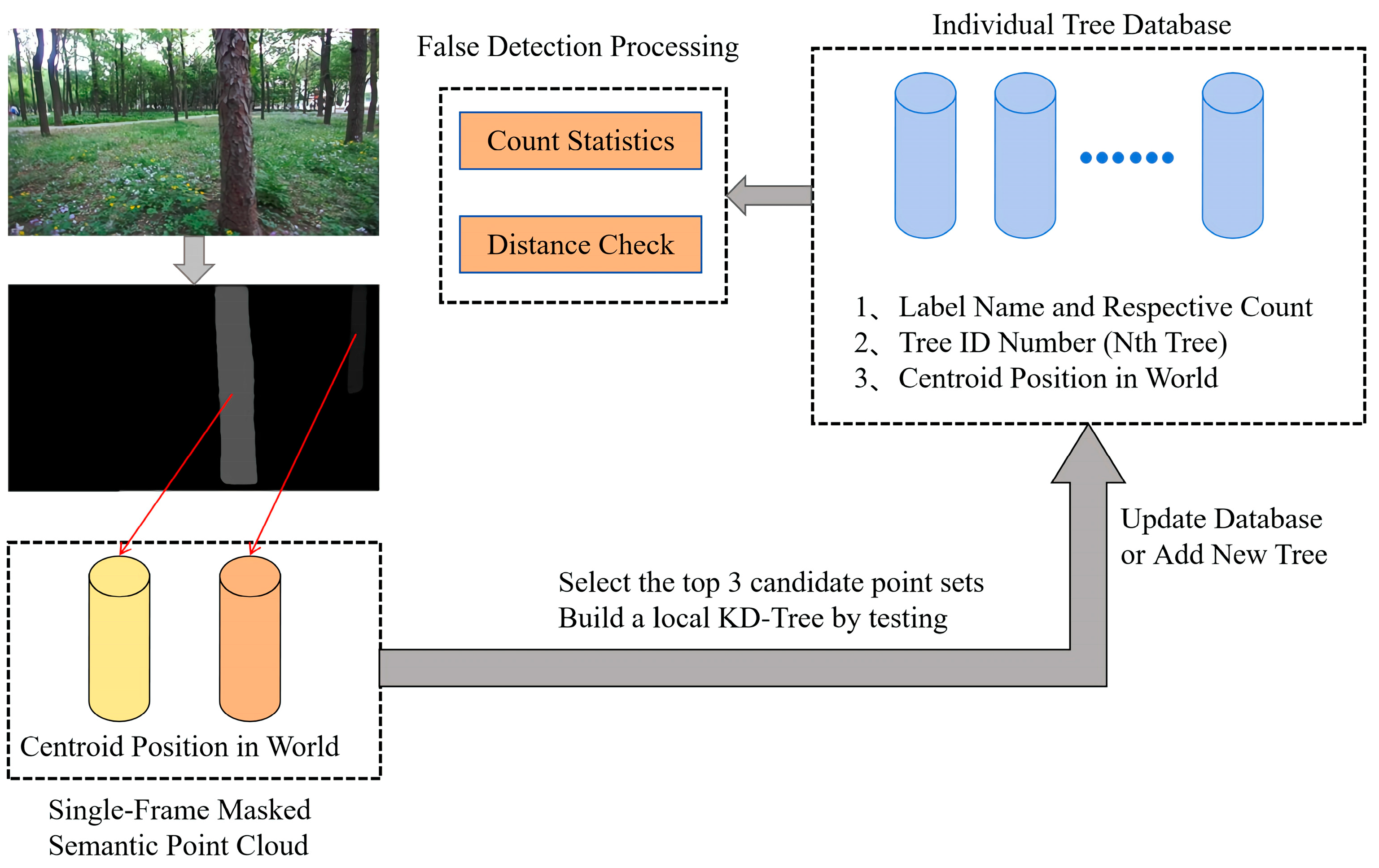 Forests 16 00335 g008