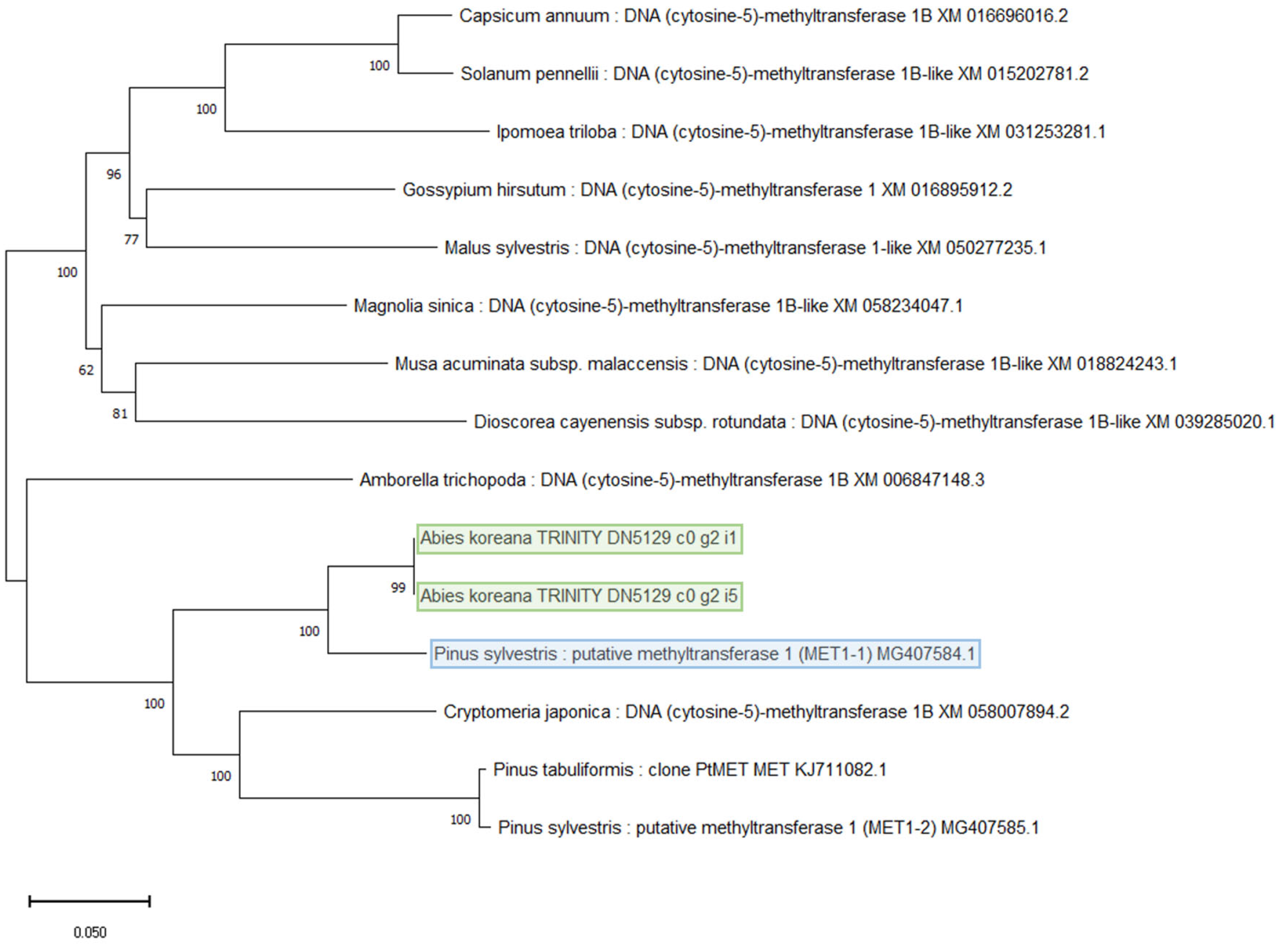 Forests 16 00337 g002