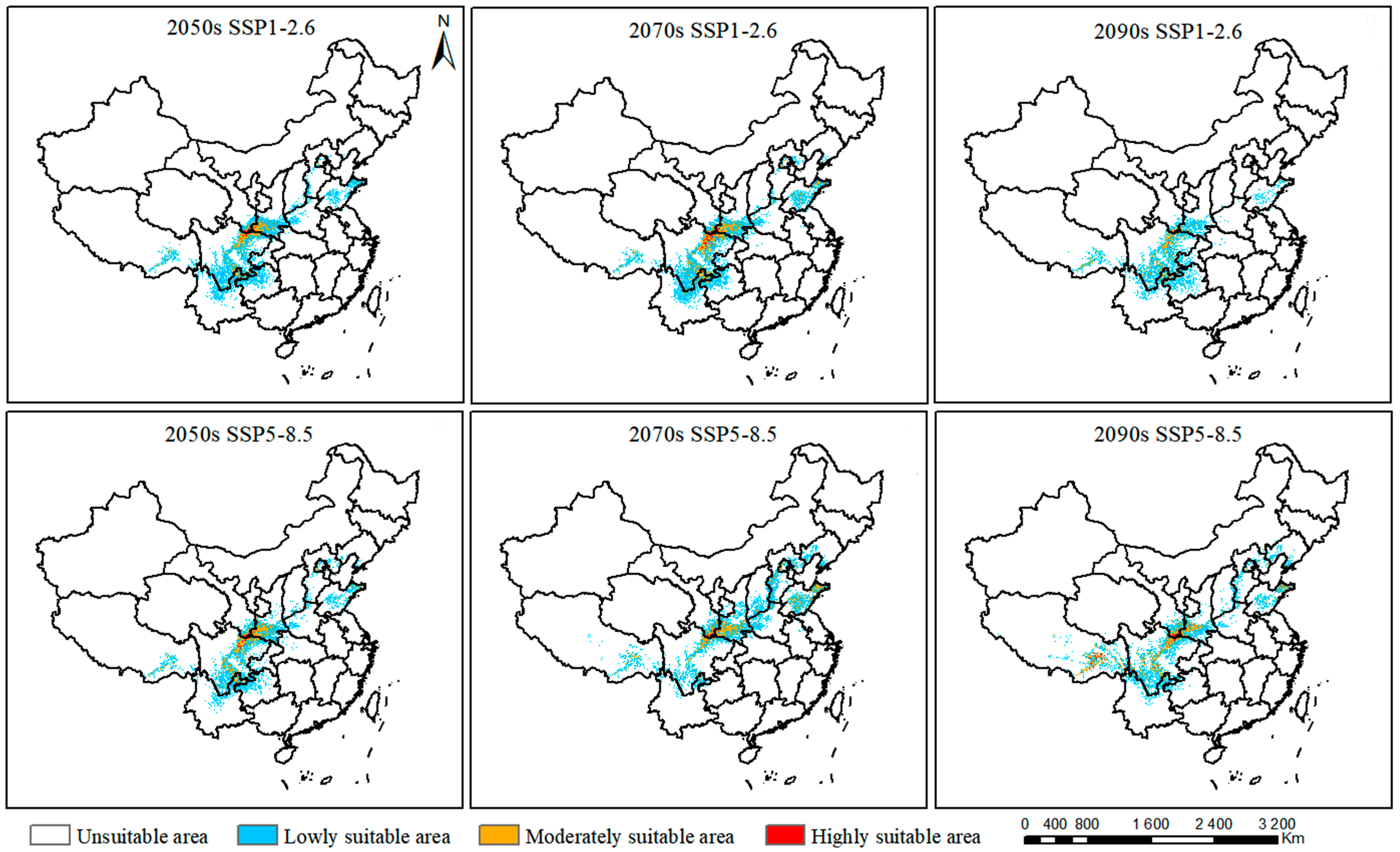 Forests 16 00338 g006