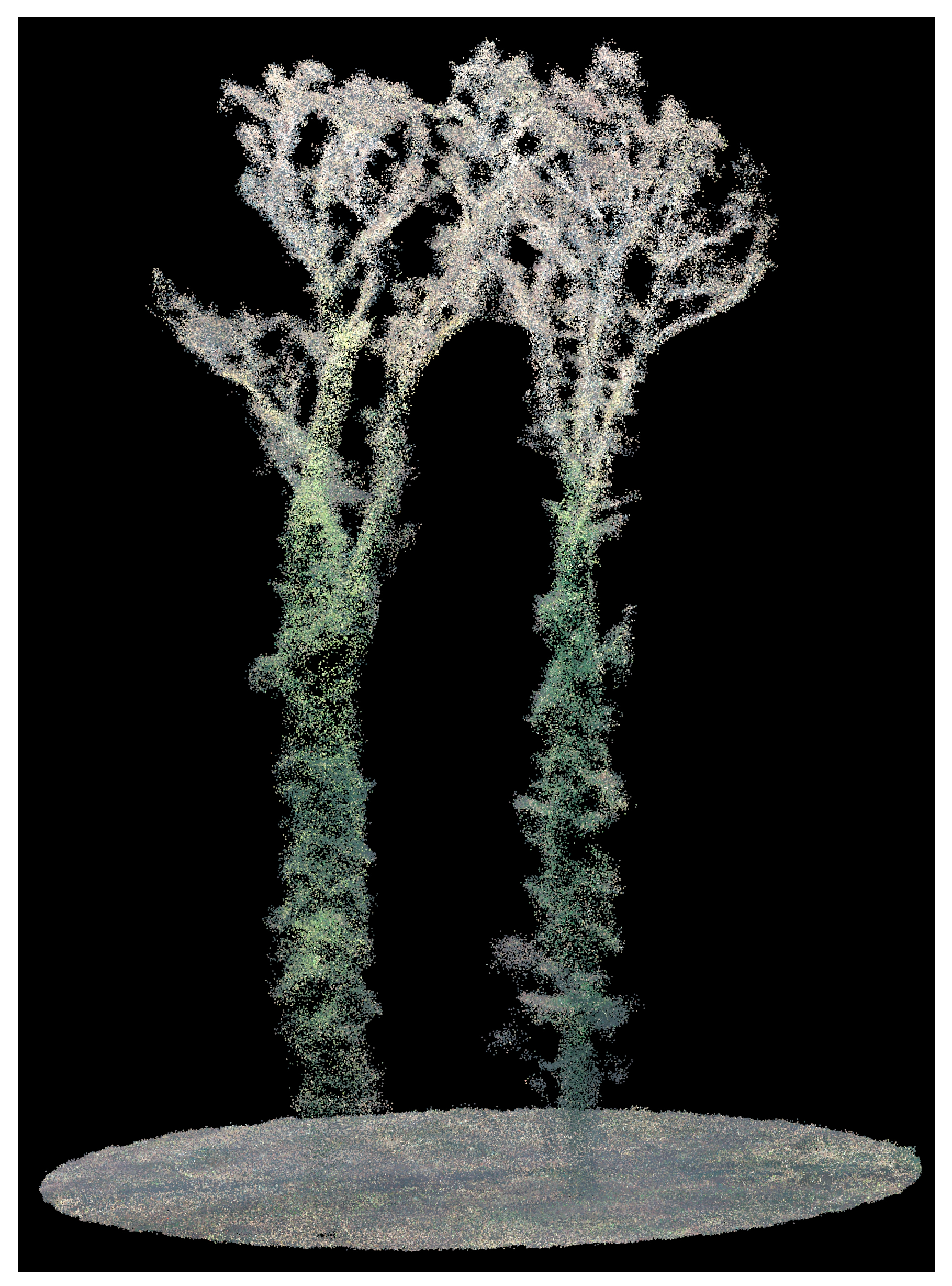 Forests 16 00340 g019