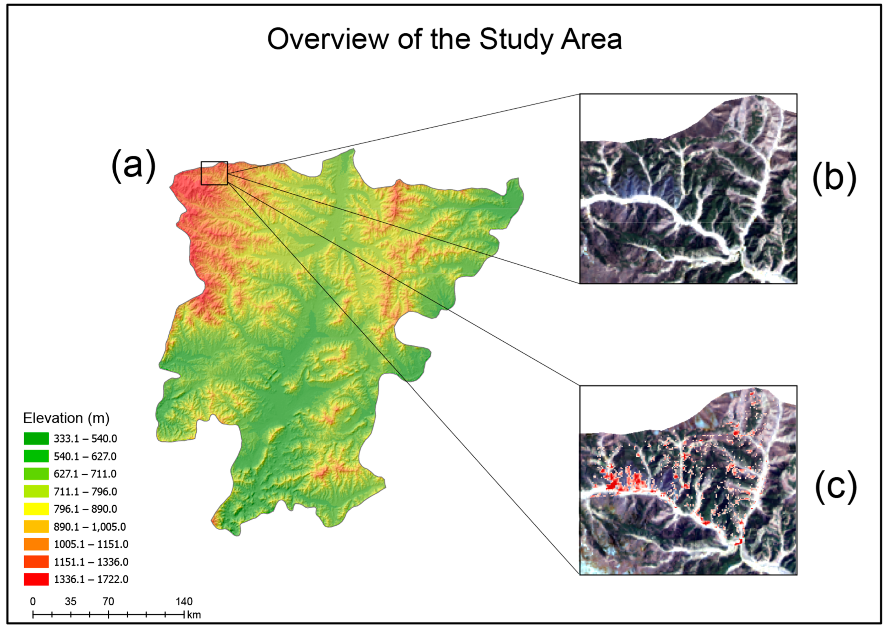 Forests 16 00344 g001