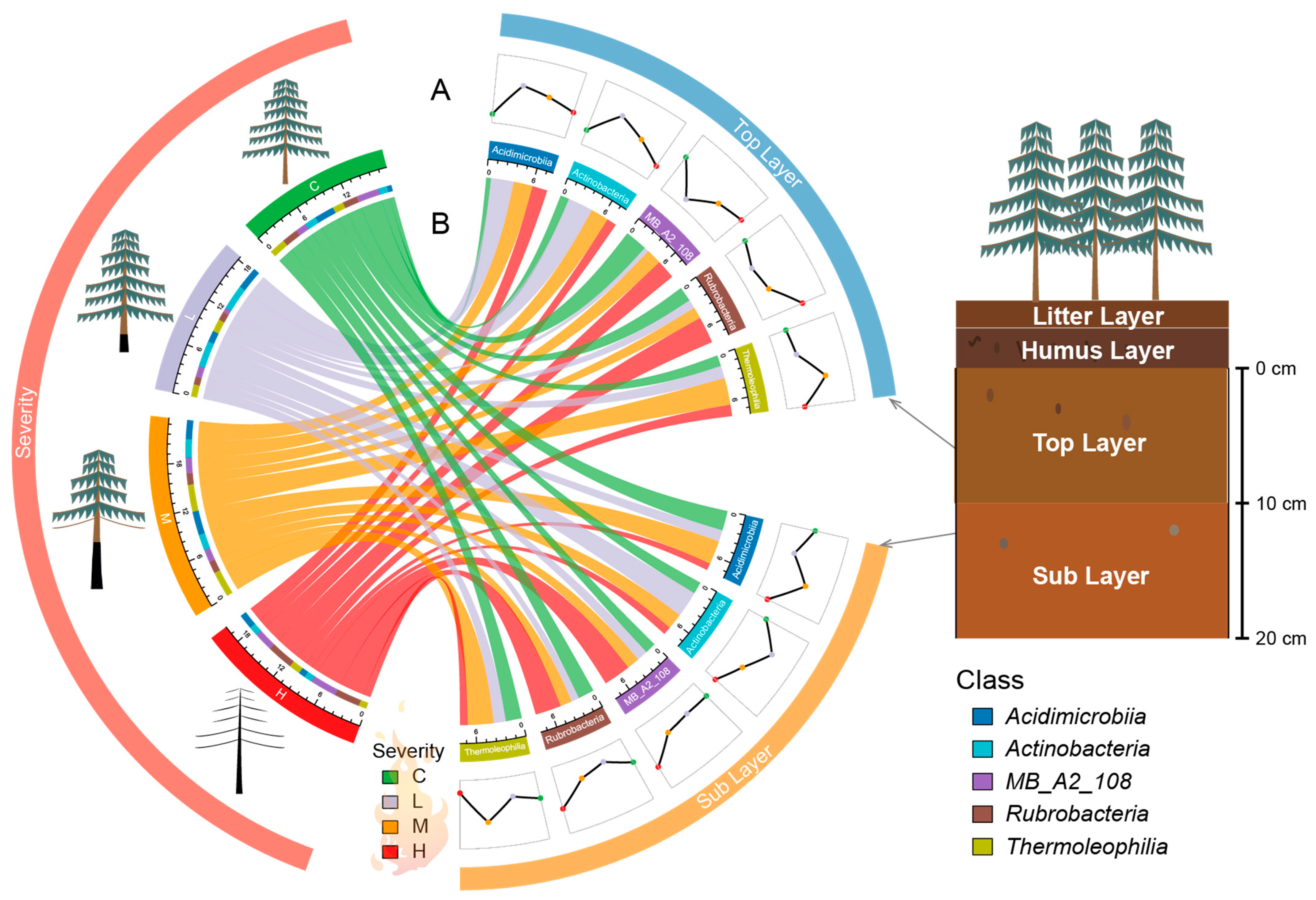 Forests 16 00344 g004