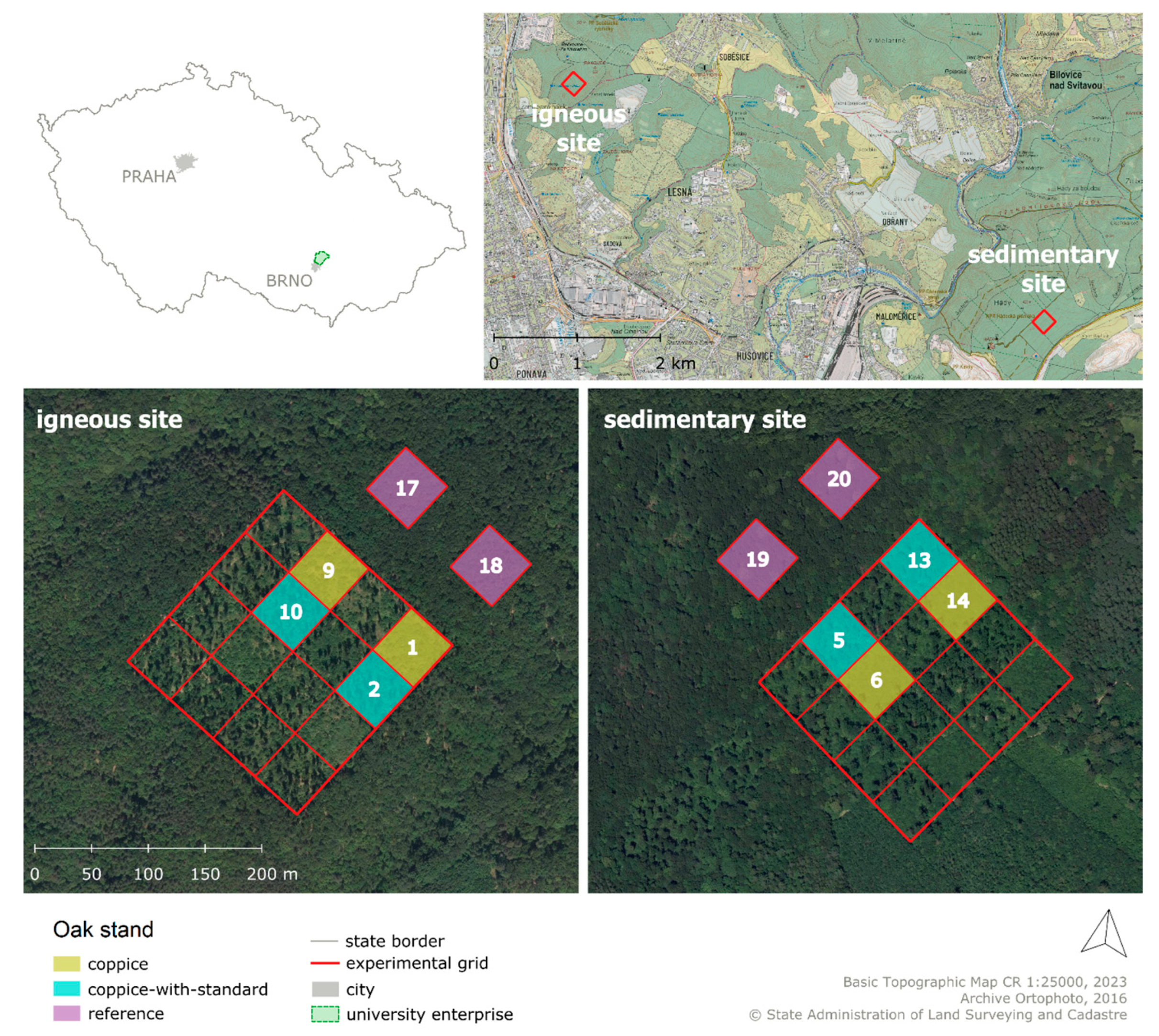 Forests 16 00350 g001