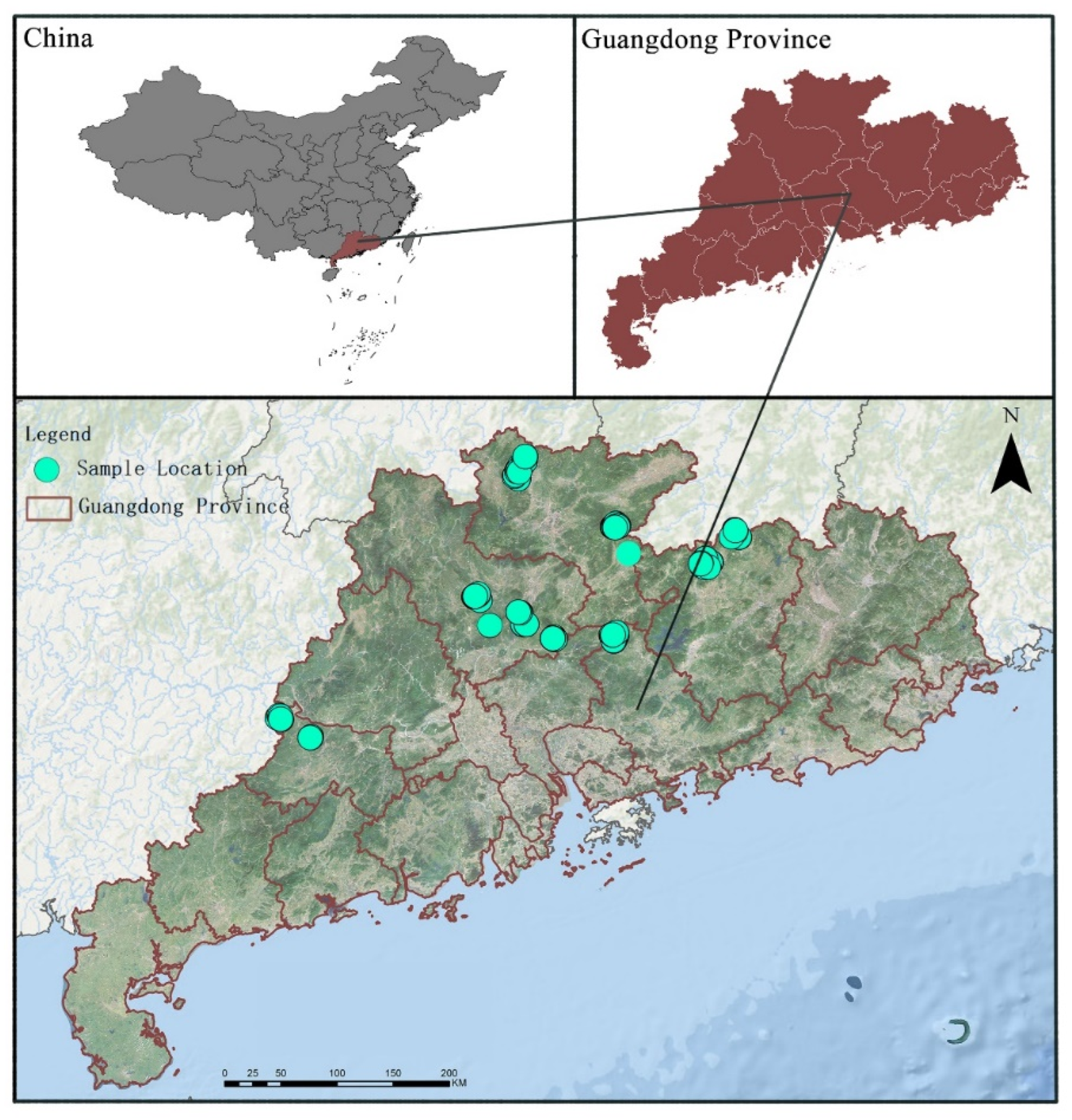Forests 16 00353 g001