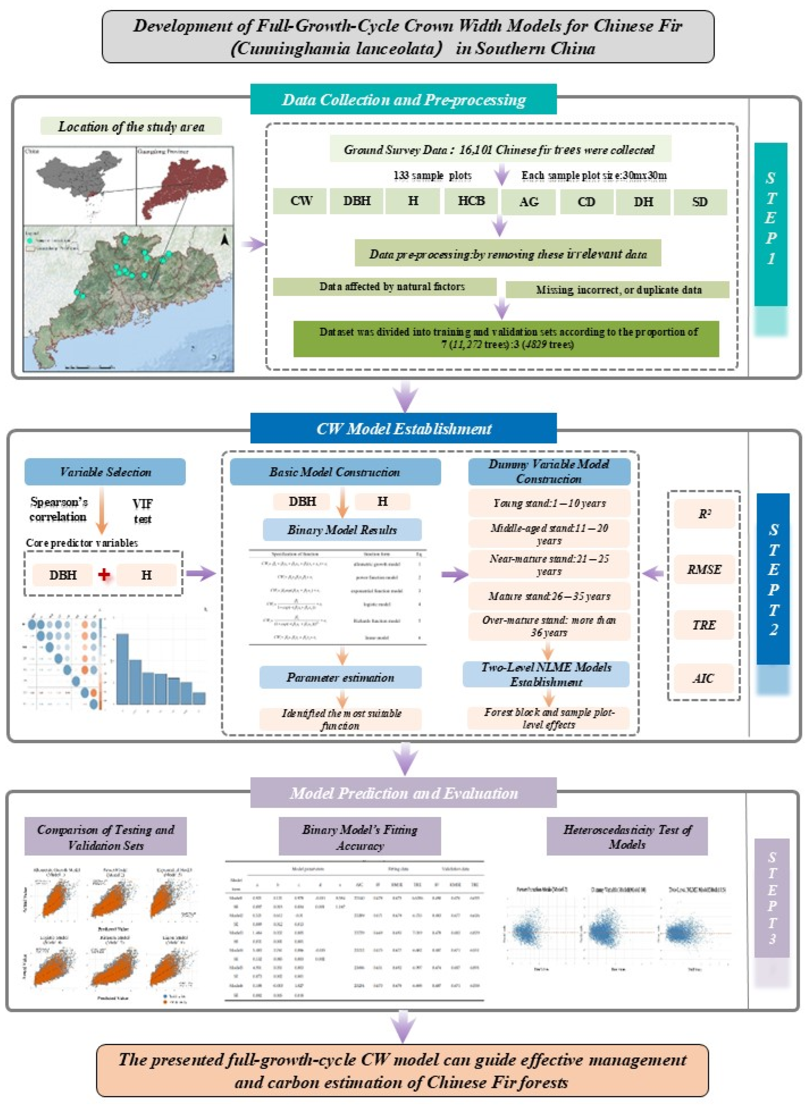 Forests 16 00353 g002