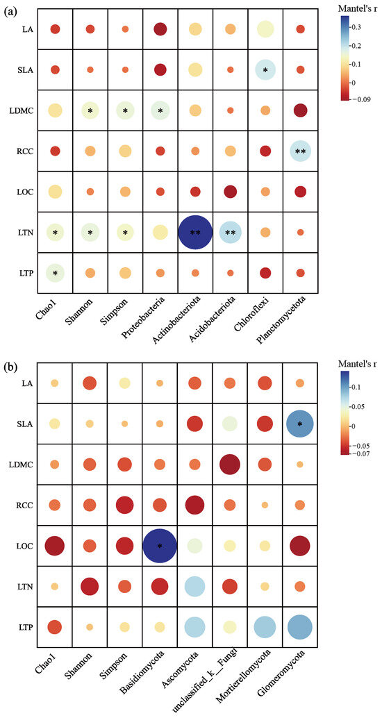 Response of Leaf Functional Traits and Rhizosphere Microbial