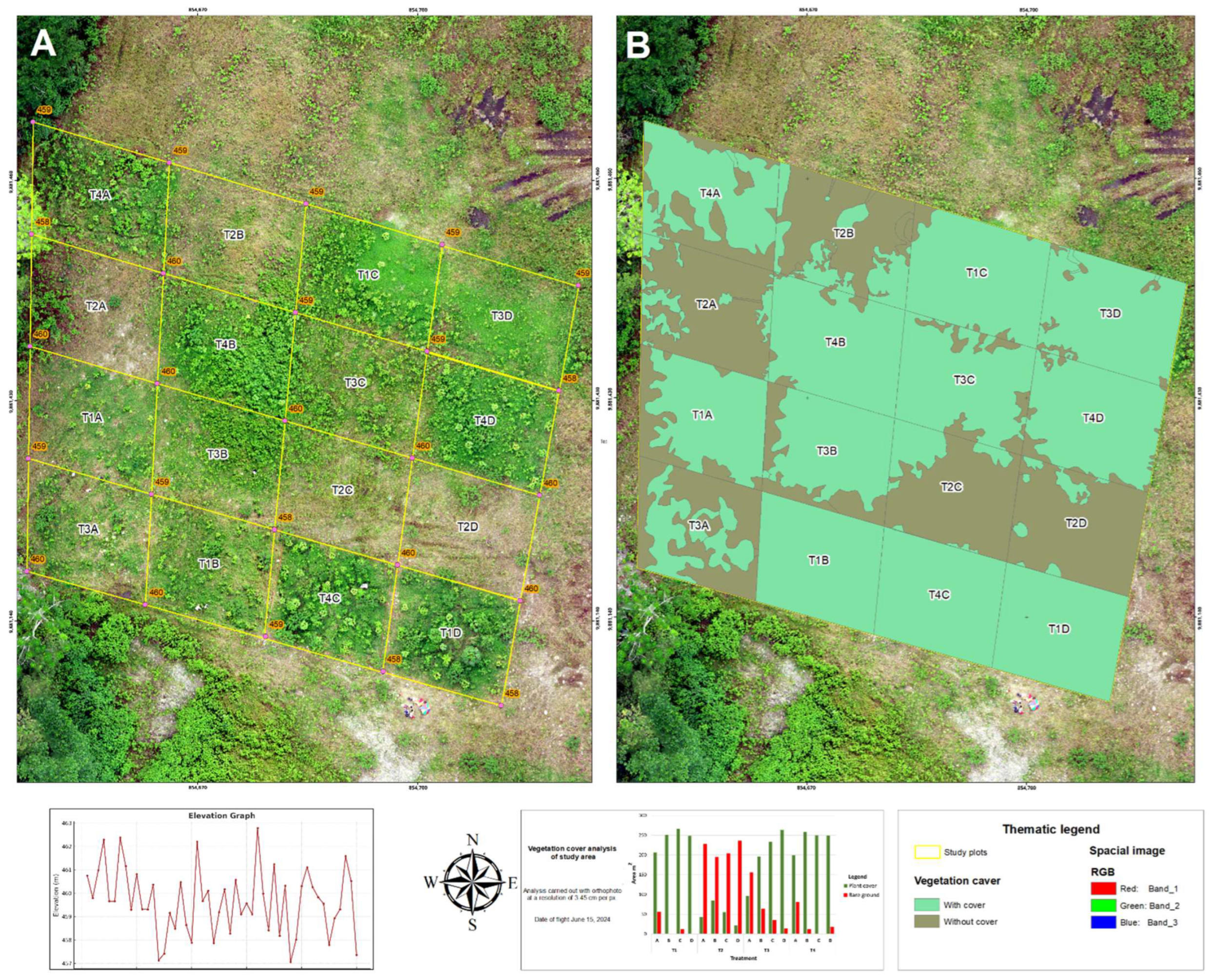 Forests 16 00372 g013