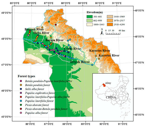 Riparian Forest Health Assessment in the Valley Area of the
