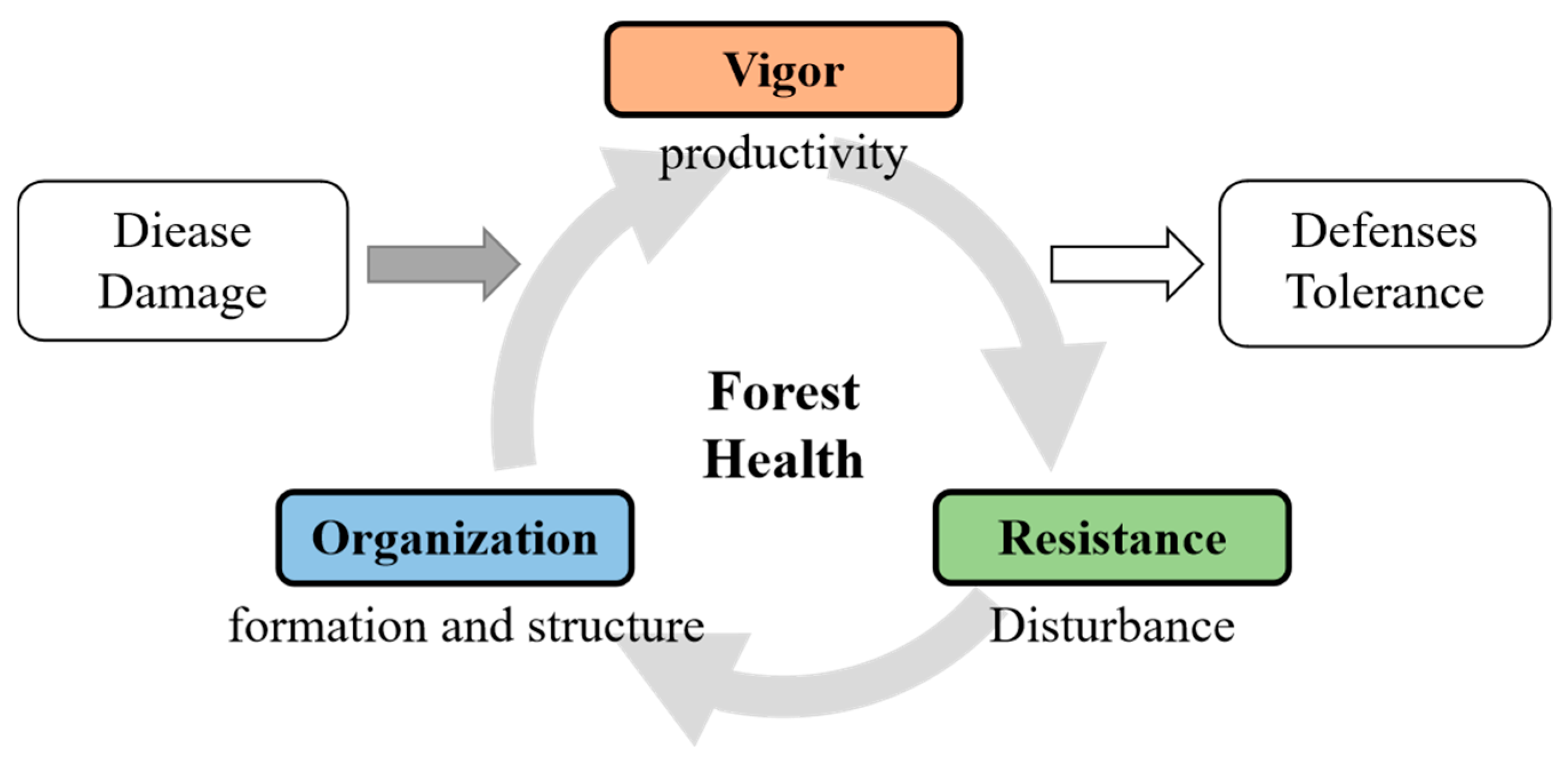 Forests 16 00373 g003